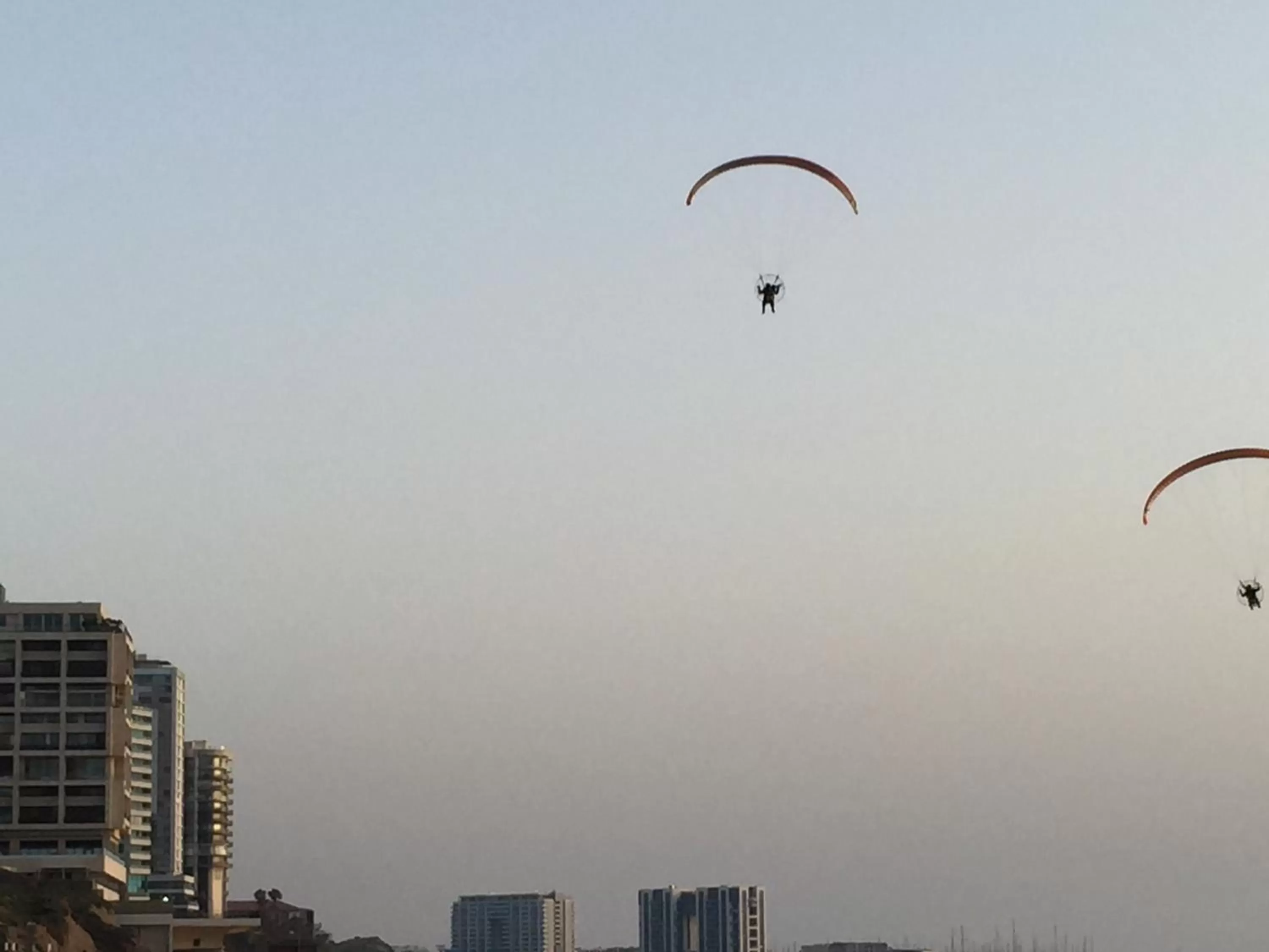 Area and facilities in Raphael Apartments