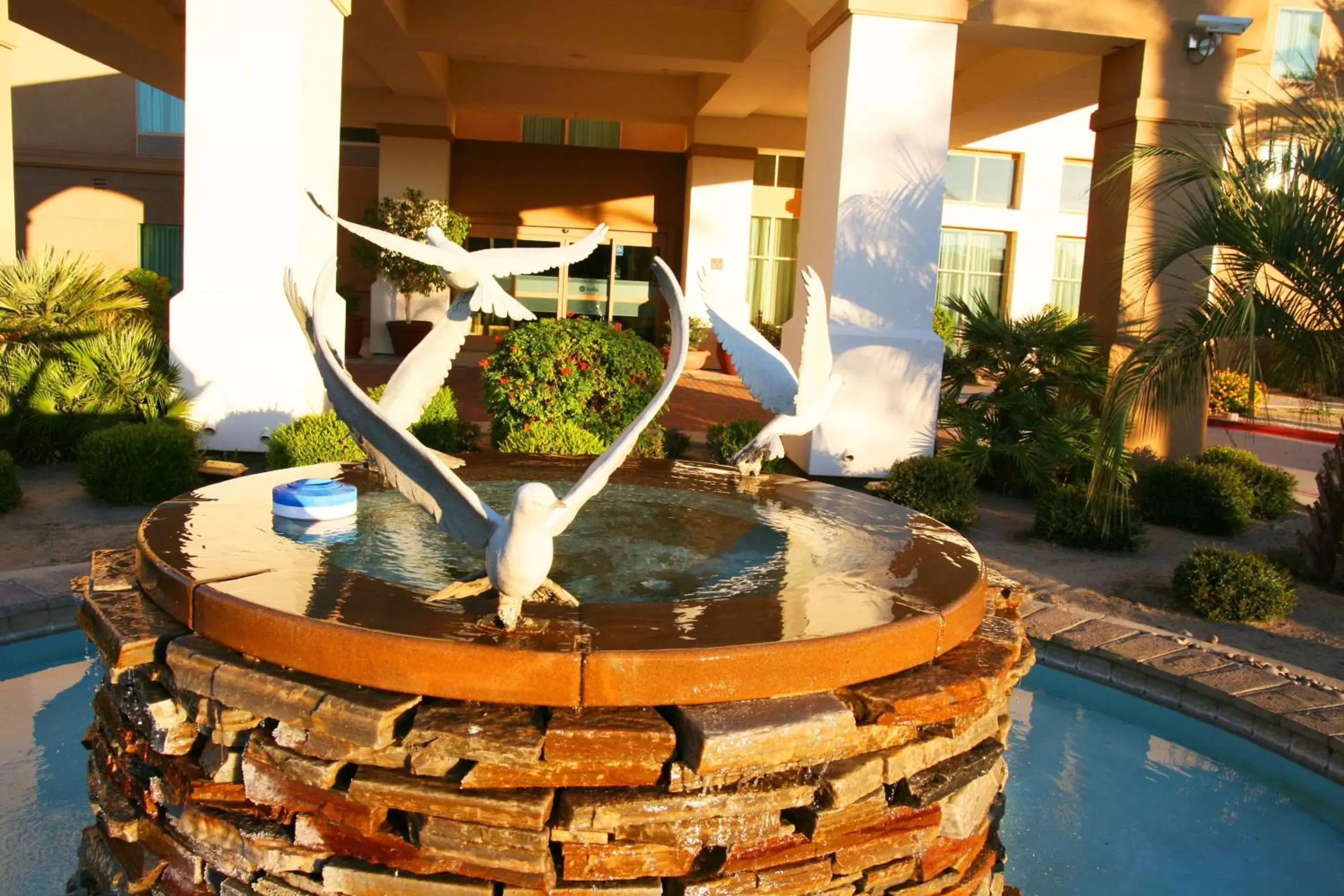 Property building, Swimming Pool in Hampton Inn & Suites Palm Desert