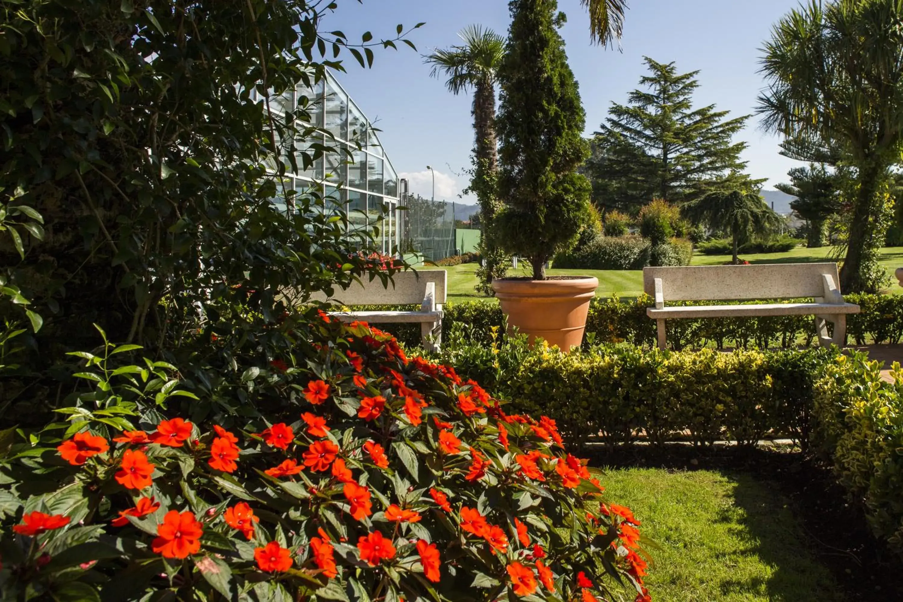 Garden in Nuevo Astur Spa