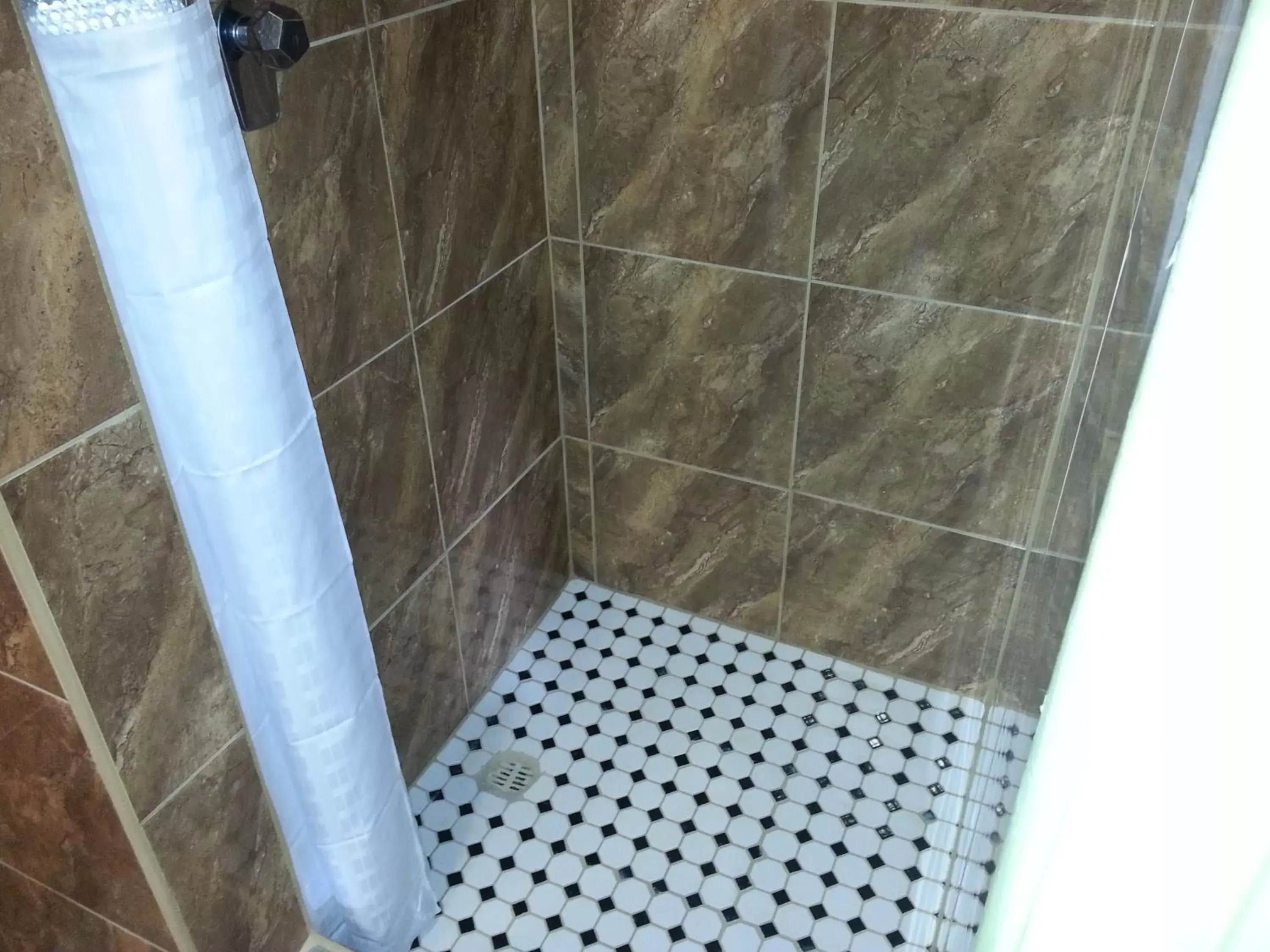 Shower, Bathroom in Harris Motel