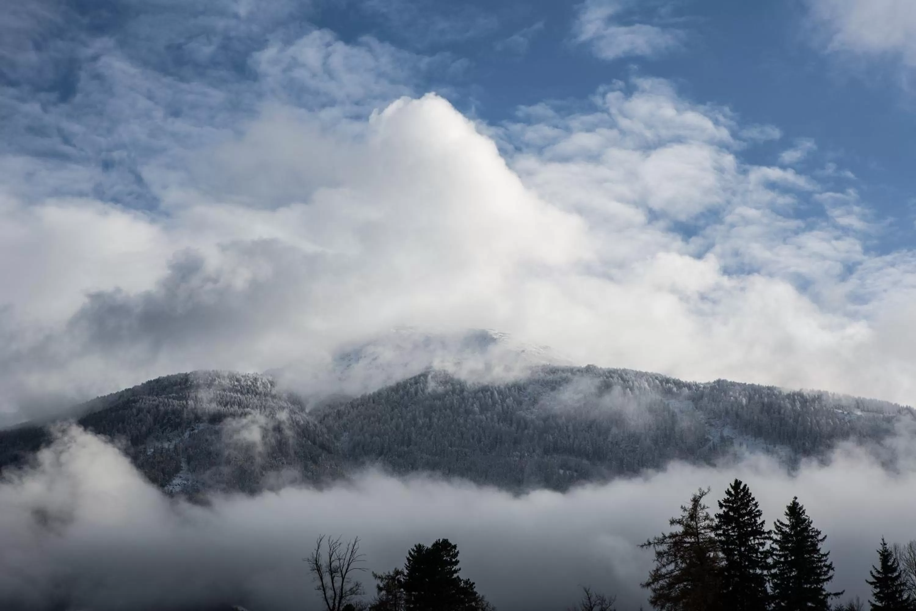 View (from property/room) in Der WALZL