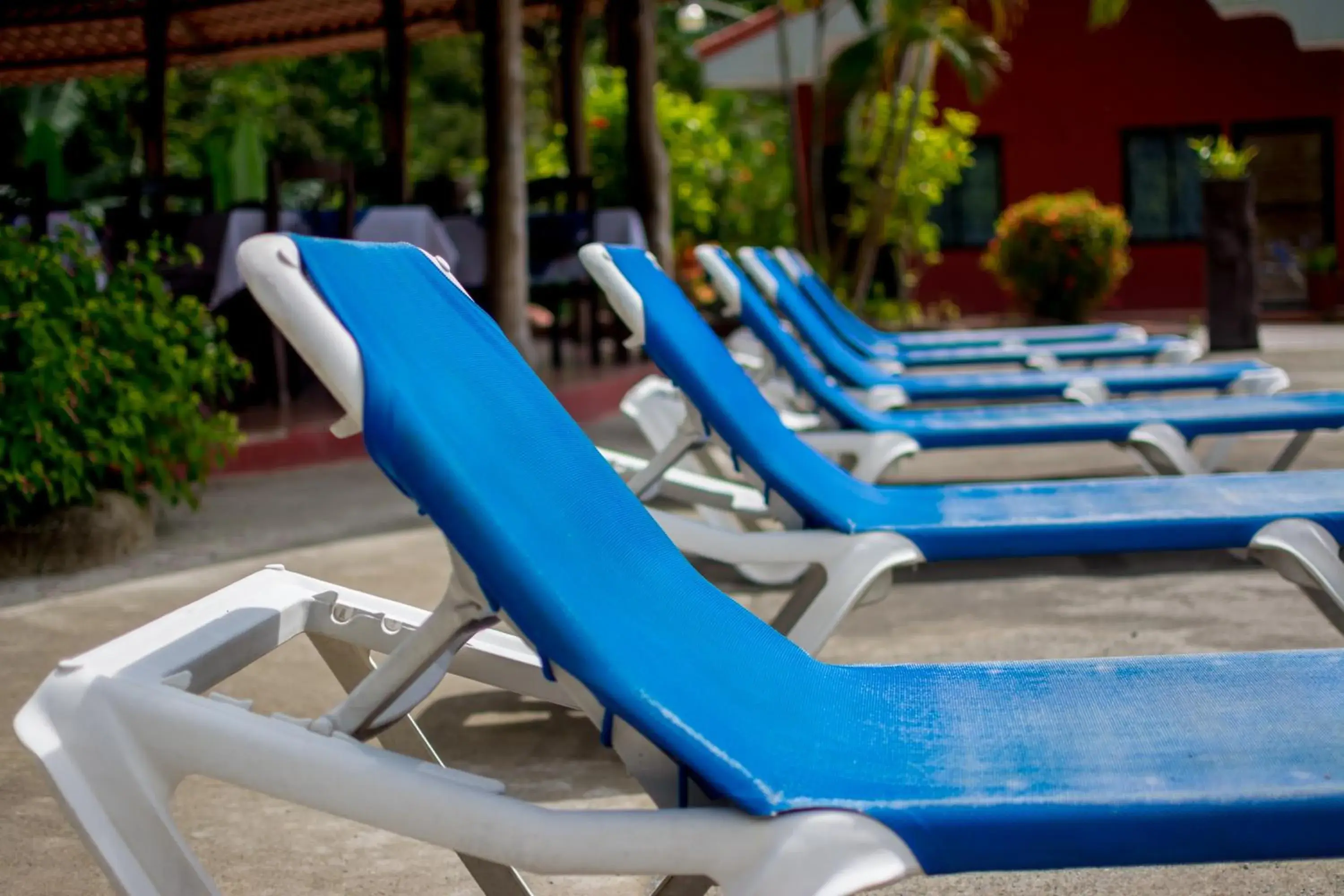 Area and facilities, Swimming Pool in Pacific Paradise Resort