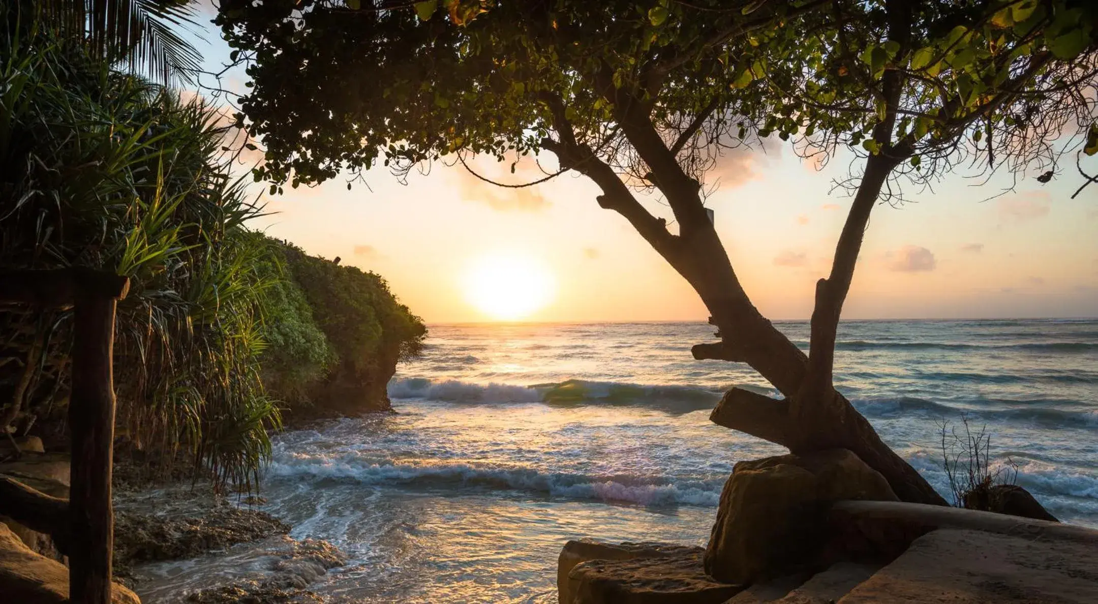 Natural landscape in Swahili Beach