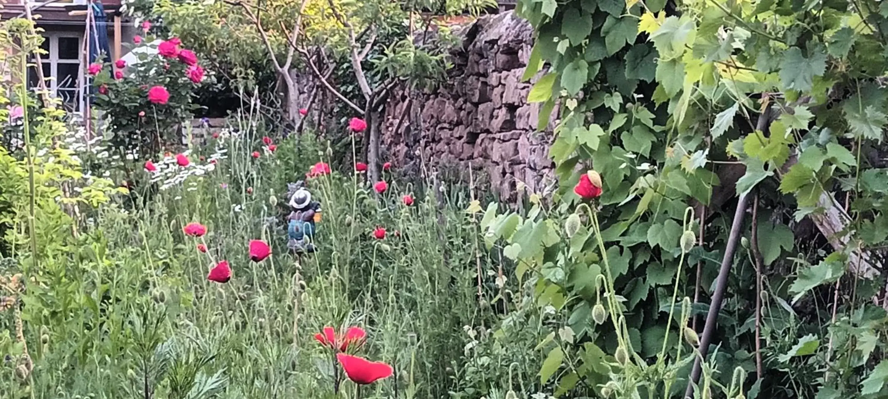 Property building, Garden in Au jardin de la Maison des Soeurs