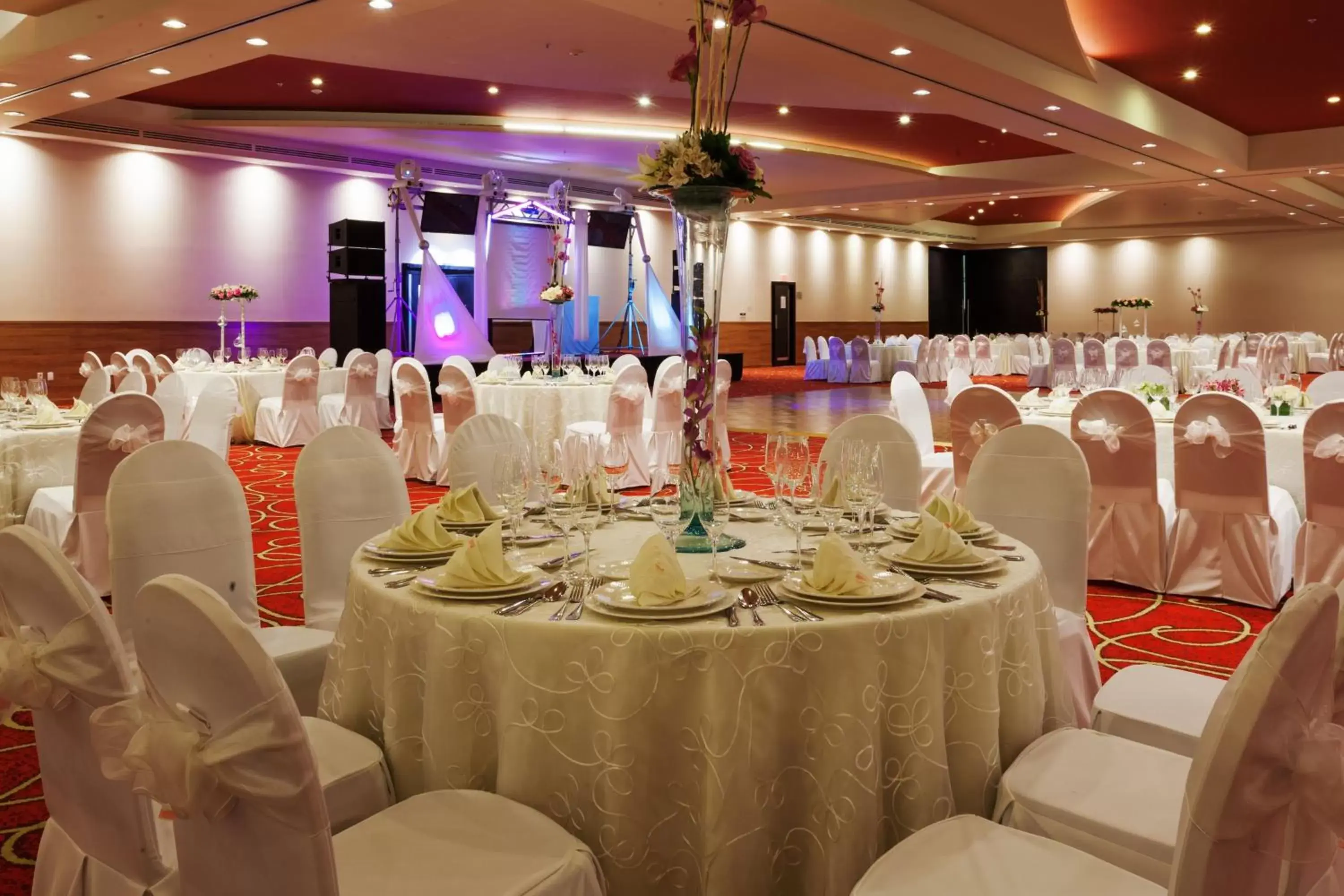 Banquet/Function facilities, Banquet Facilities in Holiday Inn Tuxpan - Convention Center, an IHG Hotel