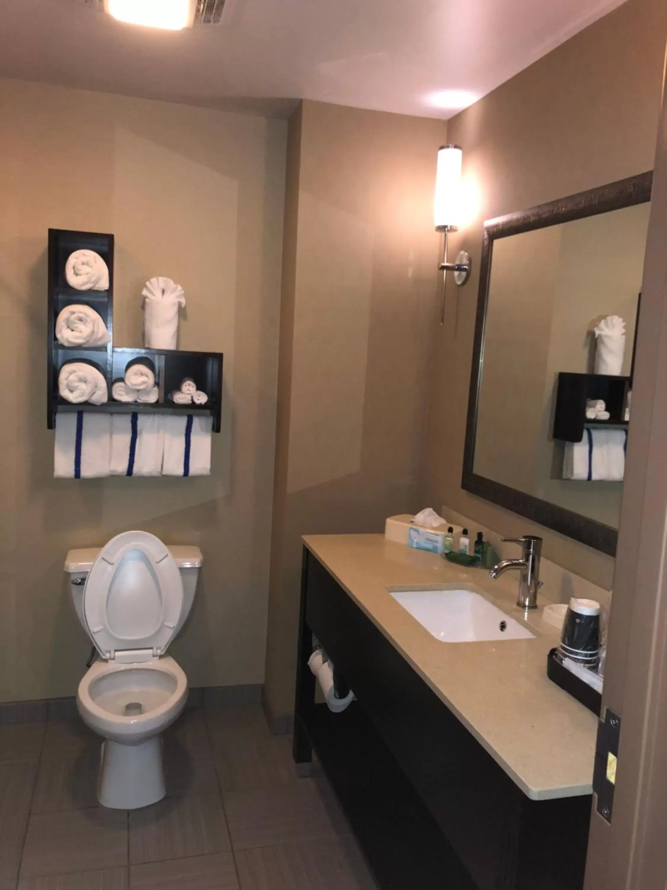 Bathroom in Countryview Inn & Suites