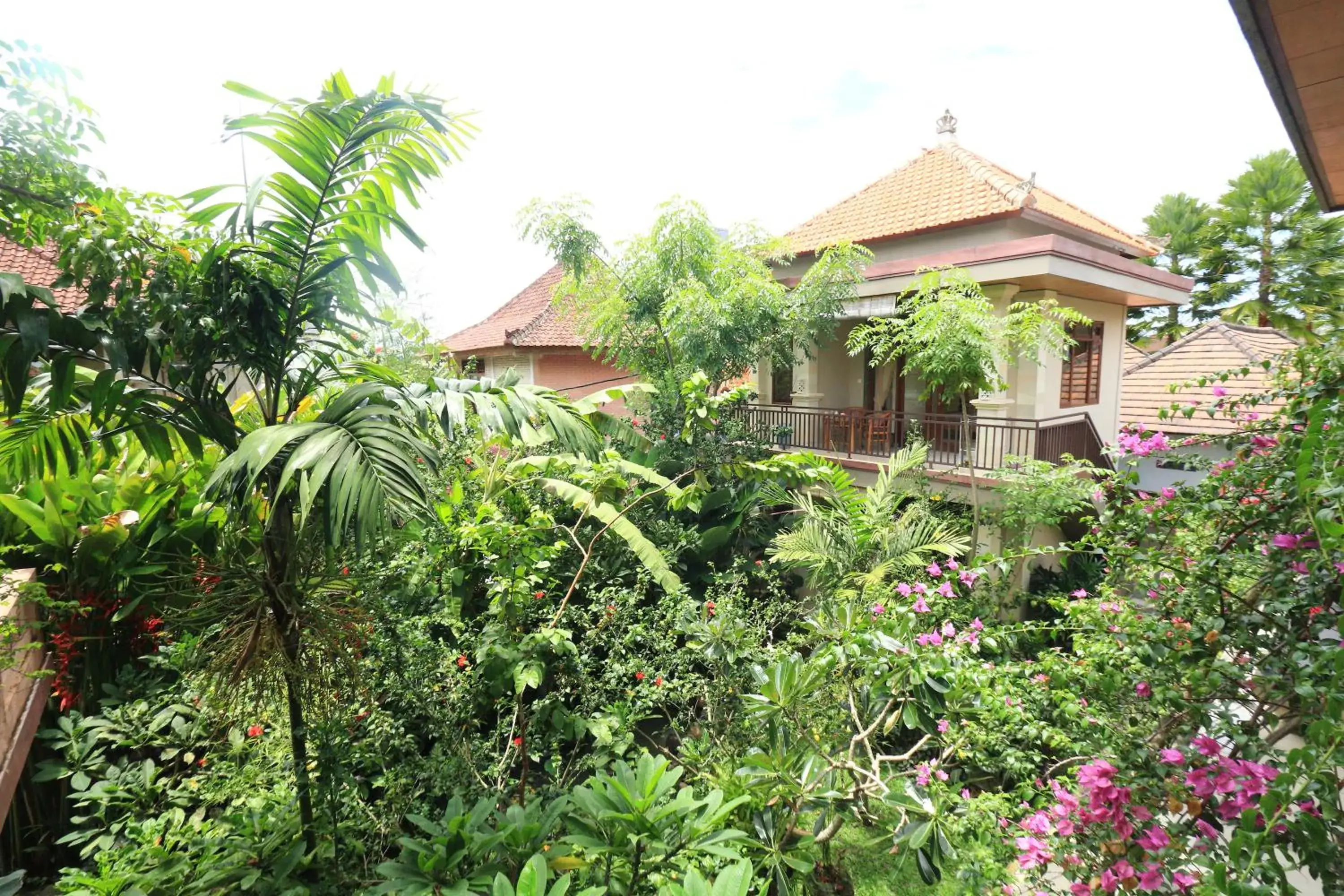 Garden, Property Building in Frangipani Bungalow