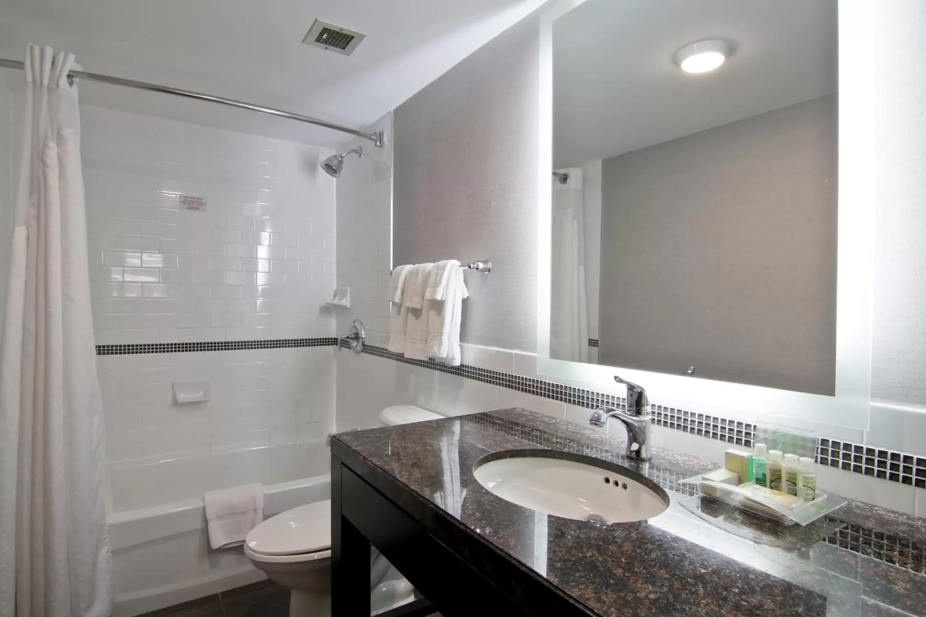 Bathroom in Holiday Inn Hotel & Suites St.Catharines-Niagara, an IHG Hotel