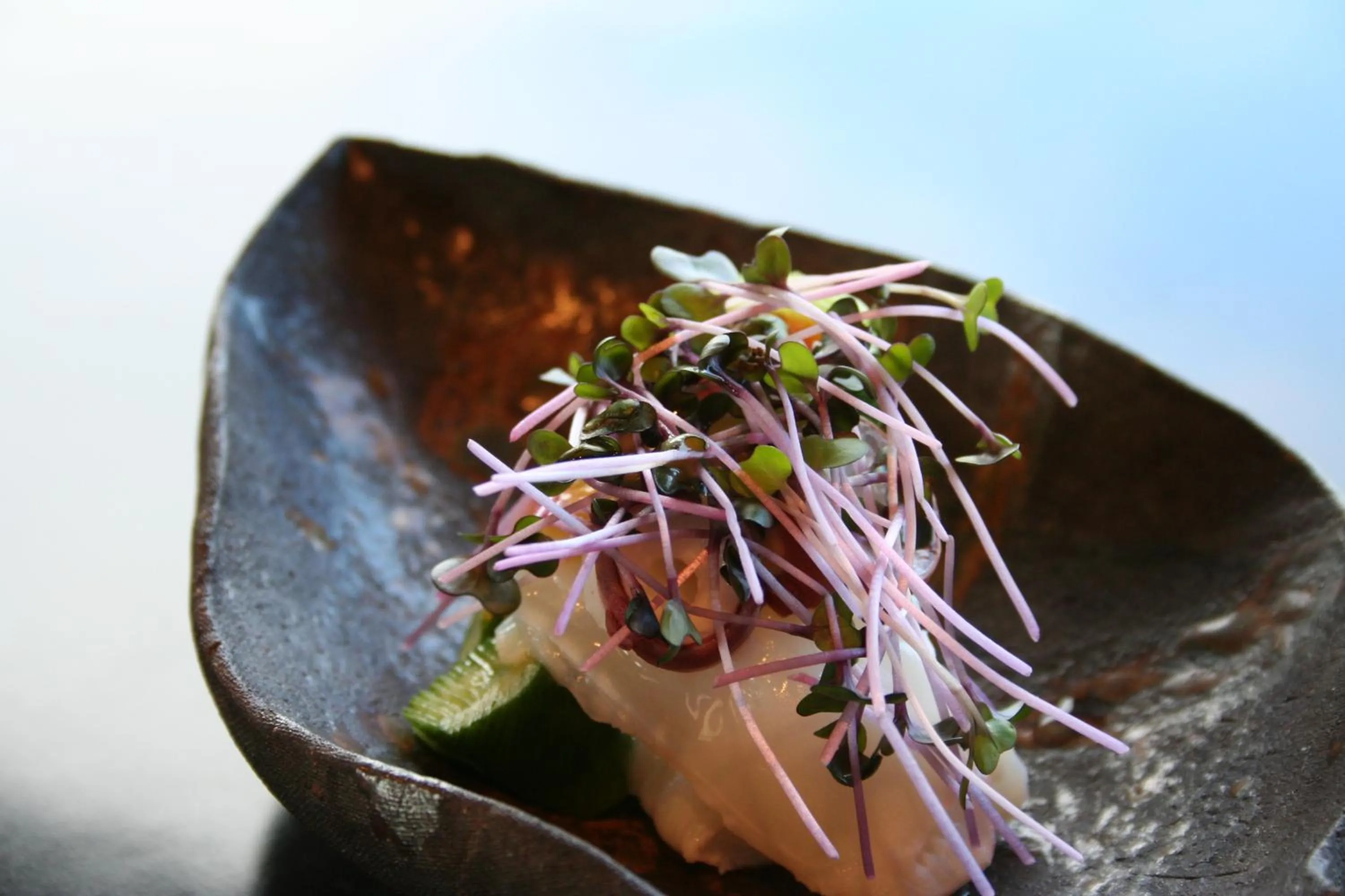 Food close-up in Kyoto Nanzenji Ryokan Yachiyo Established in 1915