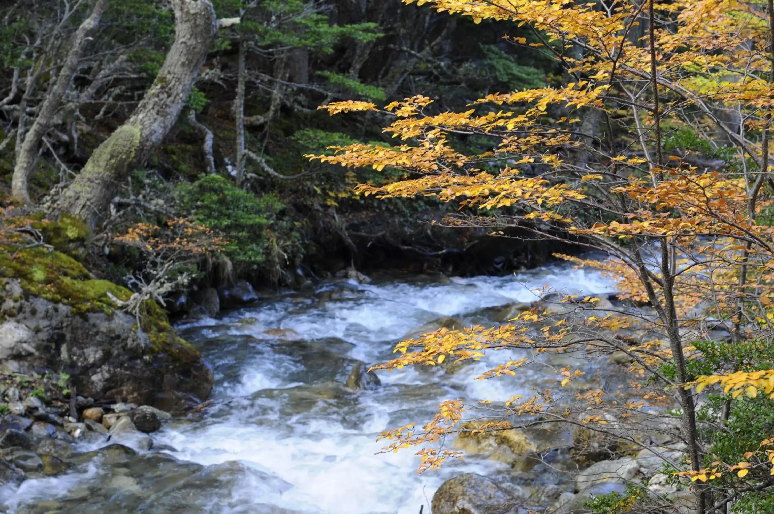 Natural Landscape in Cumbres Del Martial