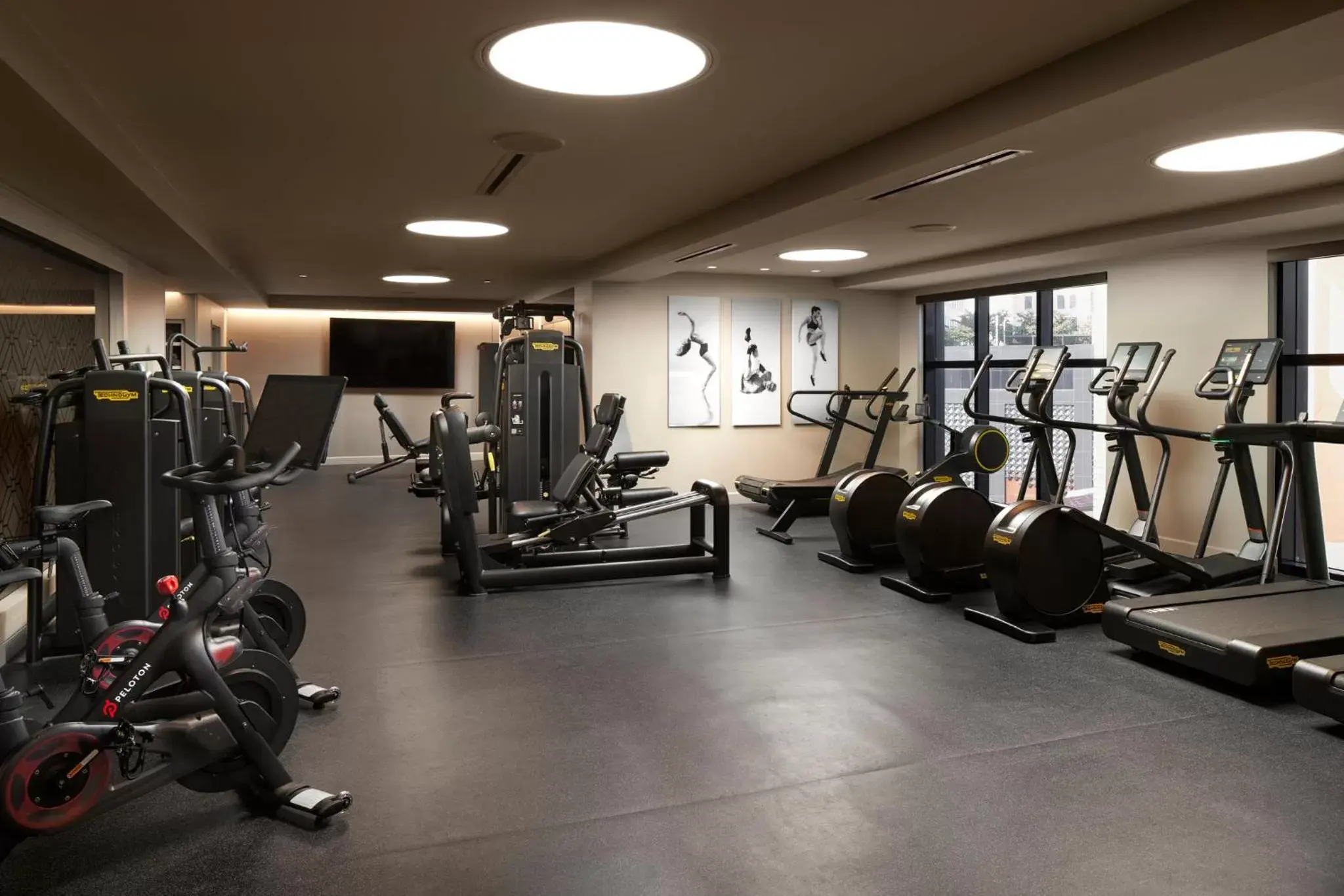 Other, Fitness Center/Facilities in Loews Coral Gables Hotel