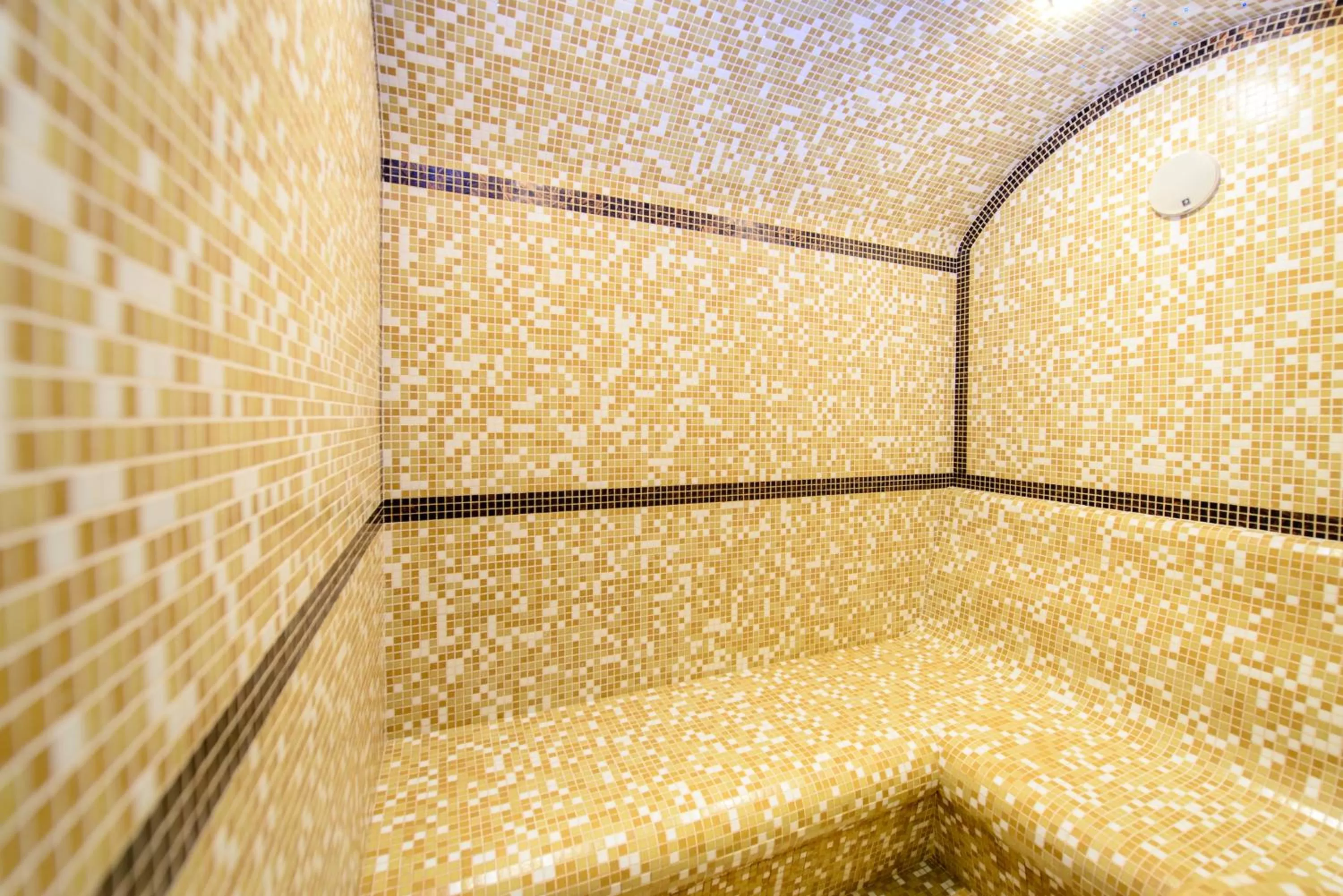 Steam room, Bathroom in Petrovskyi Brovar