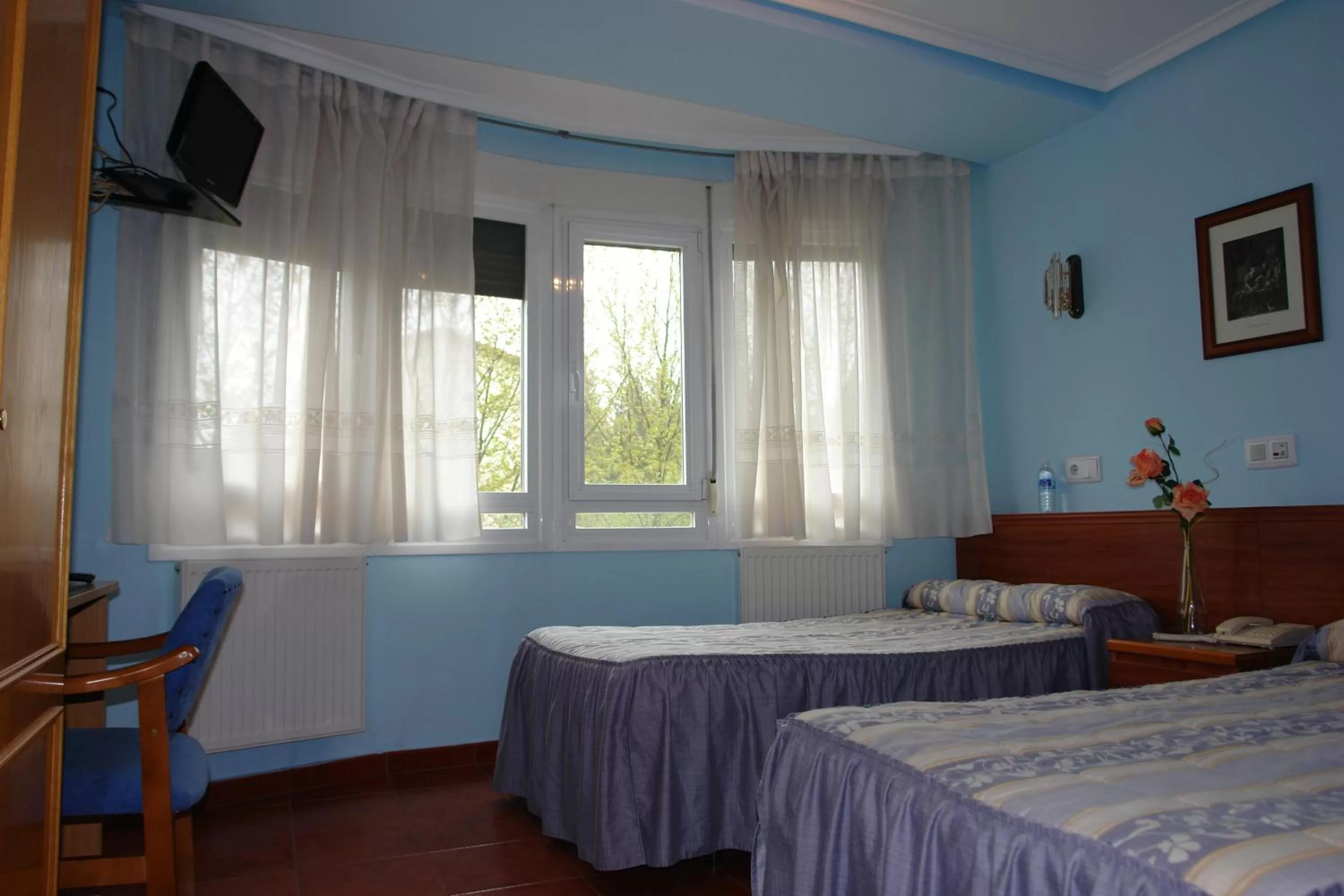 Bed in Hostal Campus