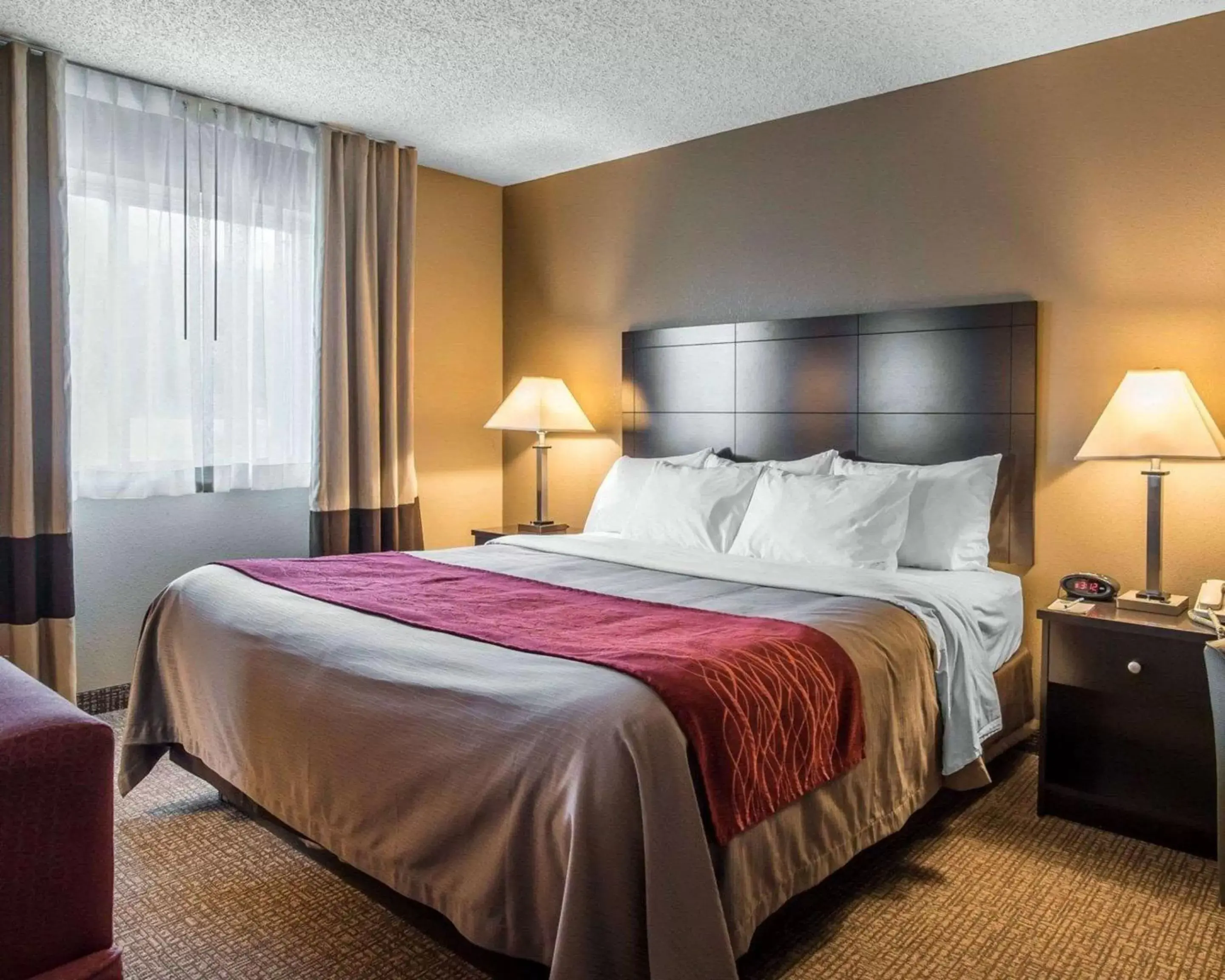Photo of the whole room, Bed in Comfort Inn Saugerties Photo of the whole room, Bed in Comfort Inn Saugerties