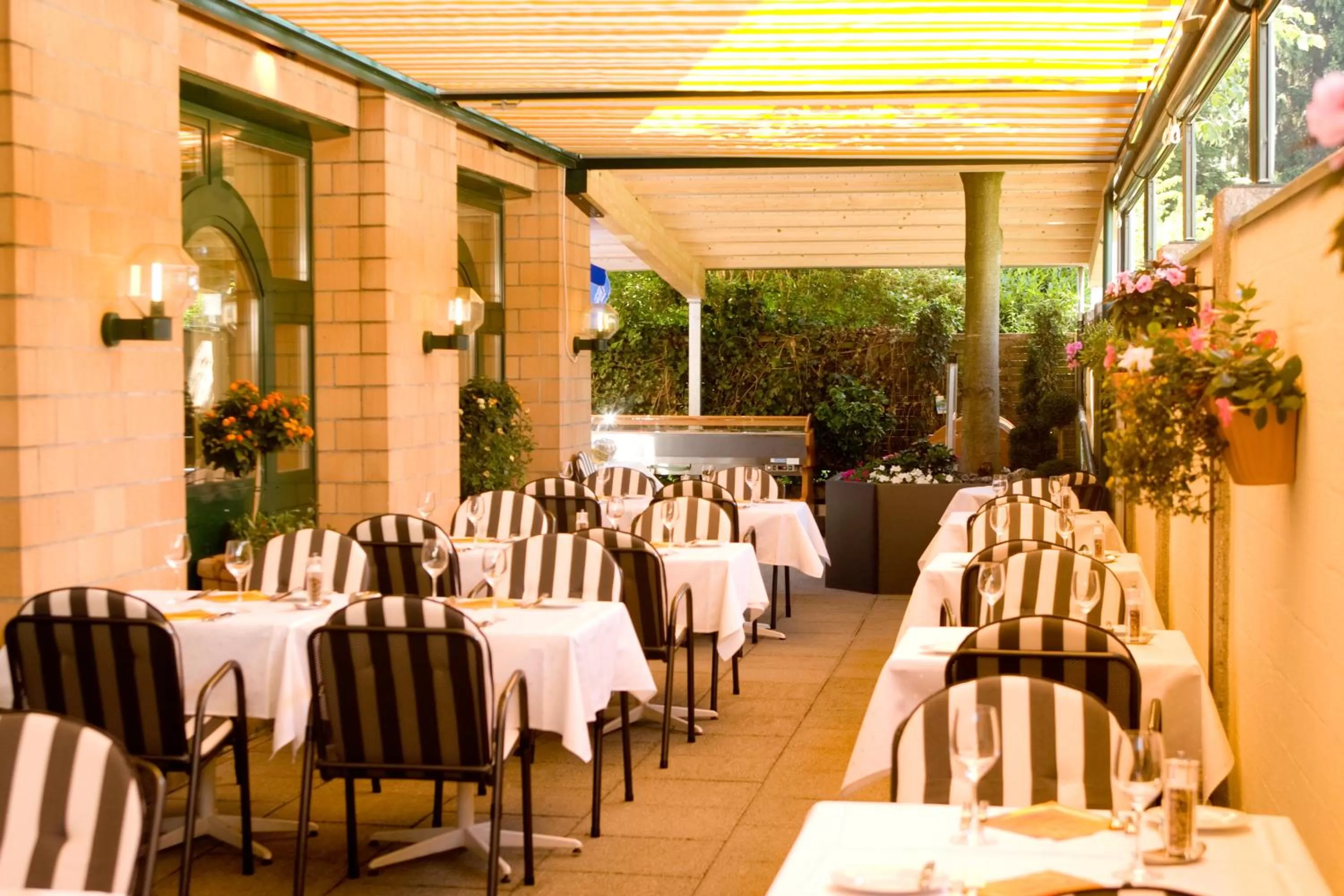 Balcony/Terrace in Hotel Conti Dietikon