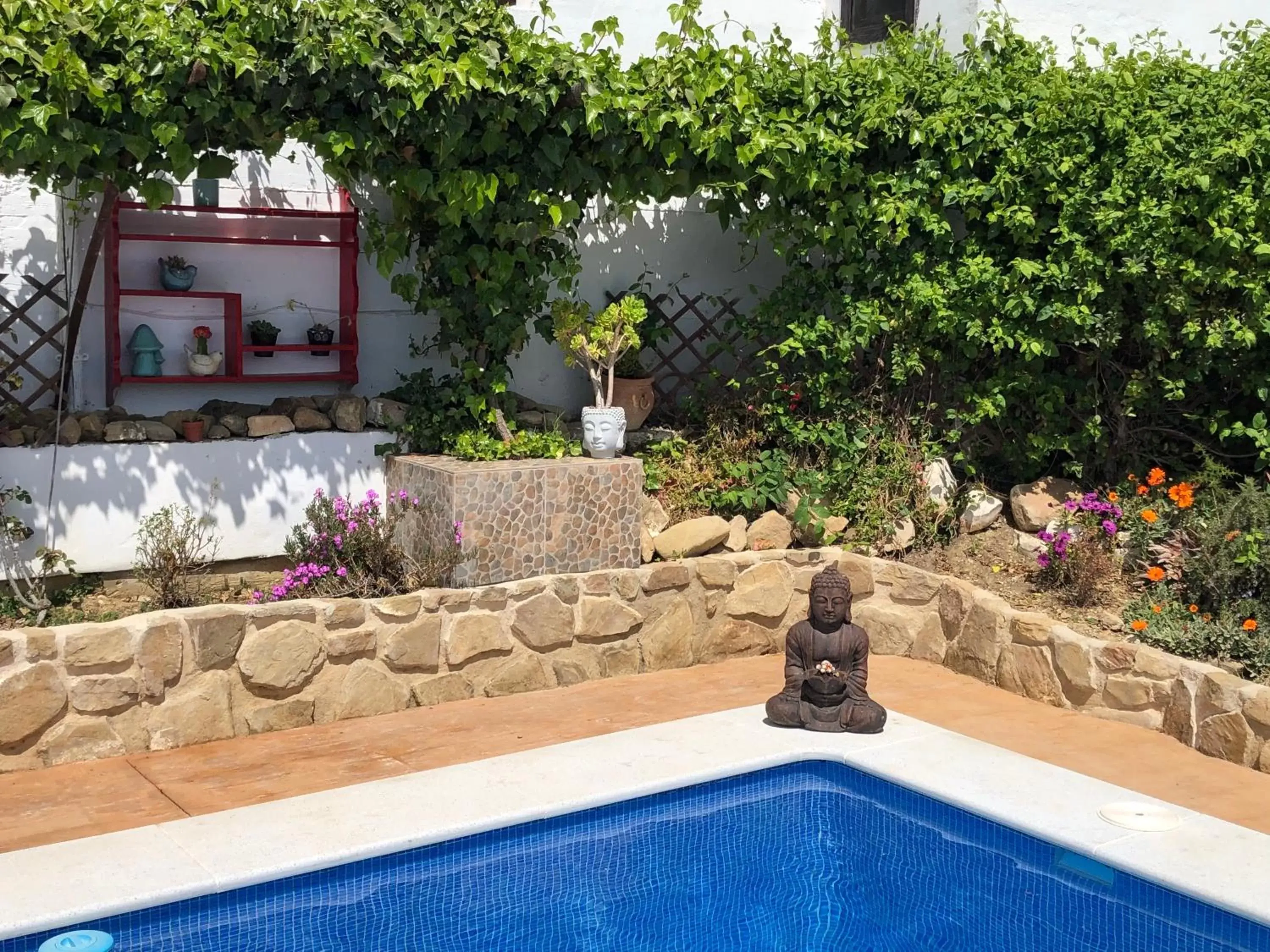 Swimming Pool in Finca amorosa