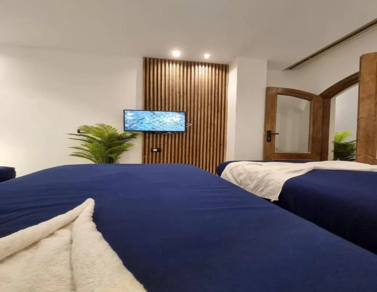 Superior Double Room Side View - single occupancy in Penguin Village Dahab