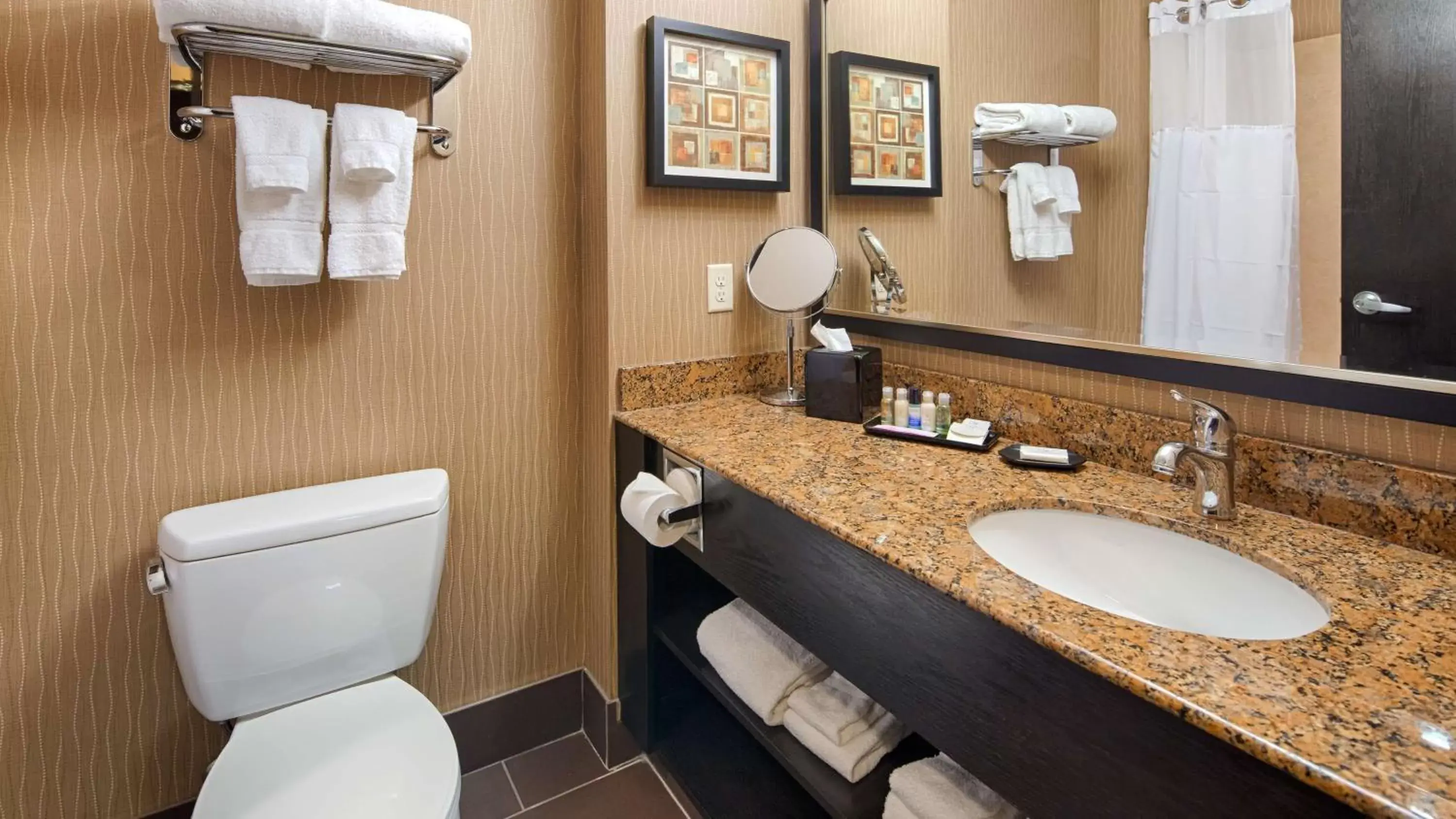 Bathroom in Best Western Premier Freeport Inn Calgary Airport