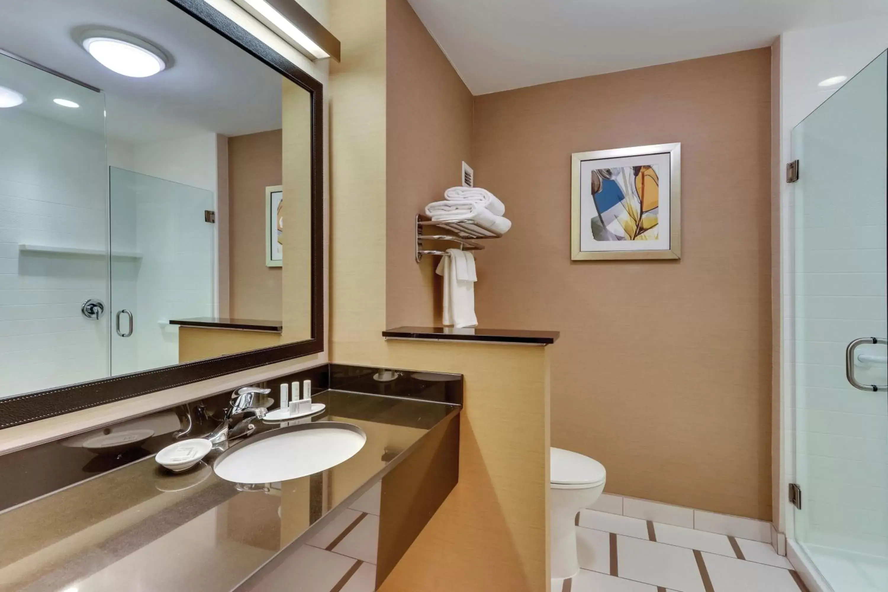 Bathroom in Fairfield Inn & Suites by Marriott Dunn I-95