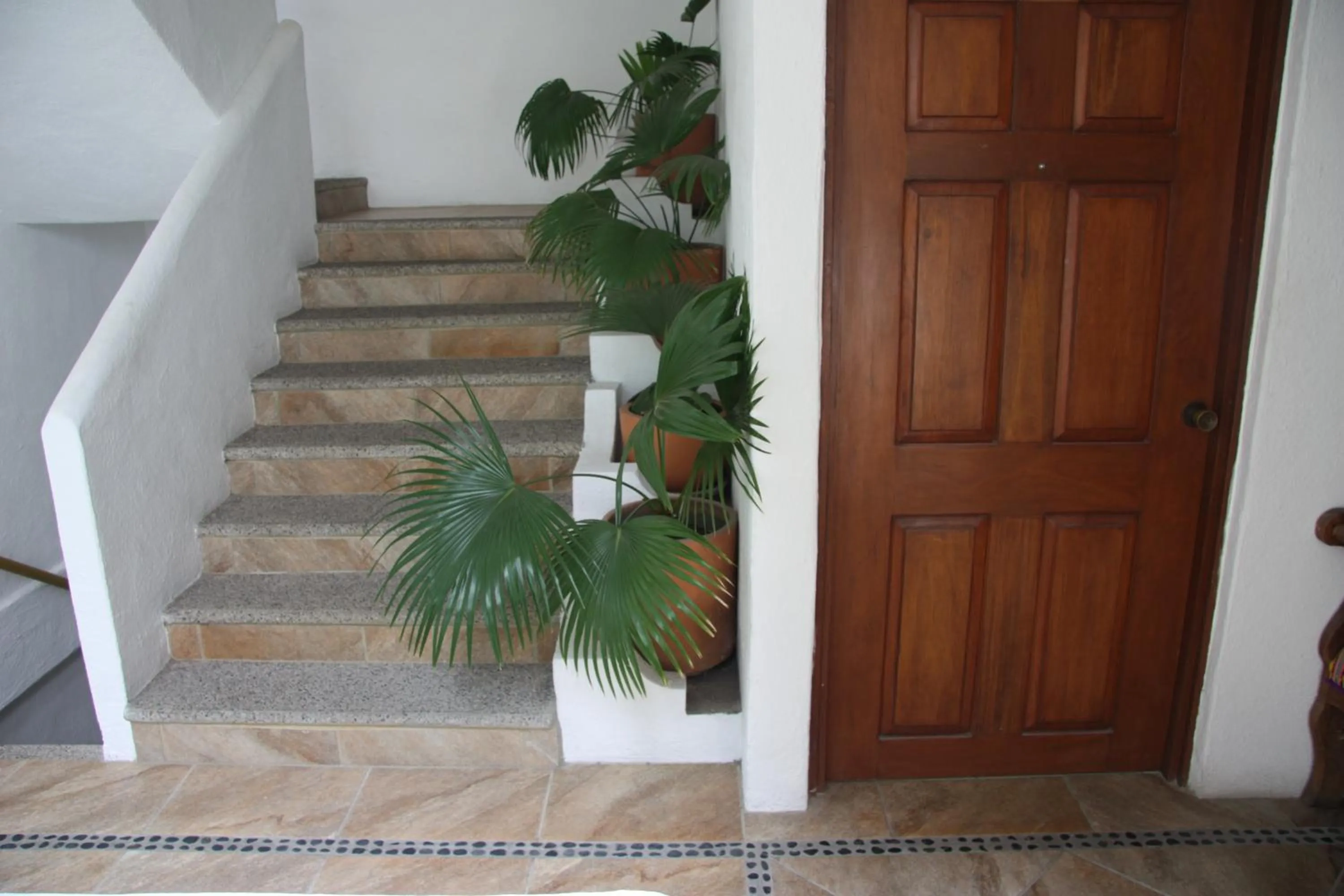 Area and facilities in Amapas Apartments Puerto Vallarta