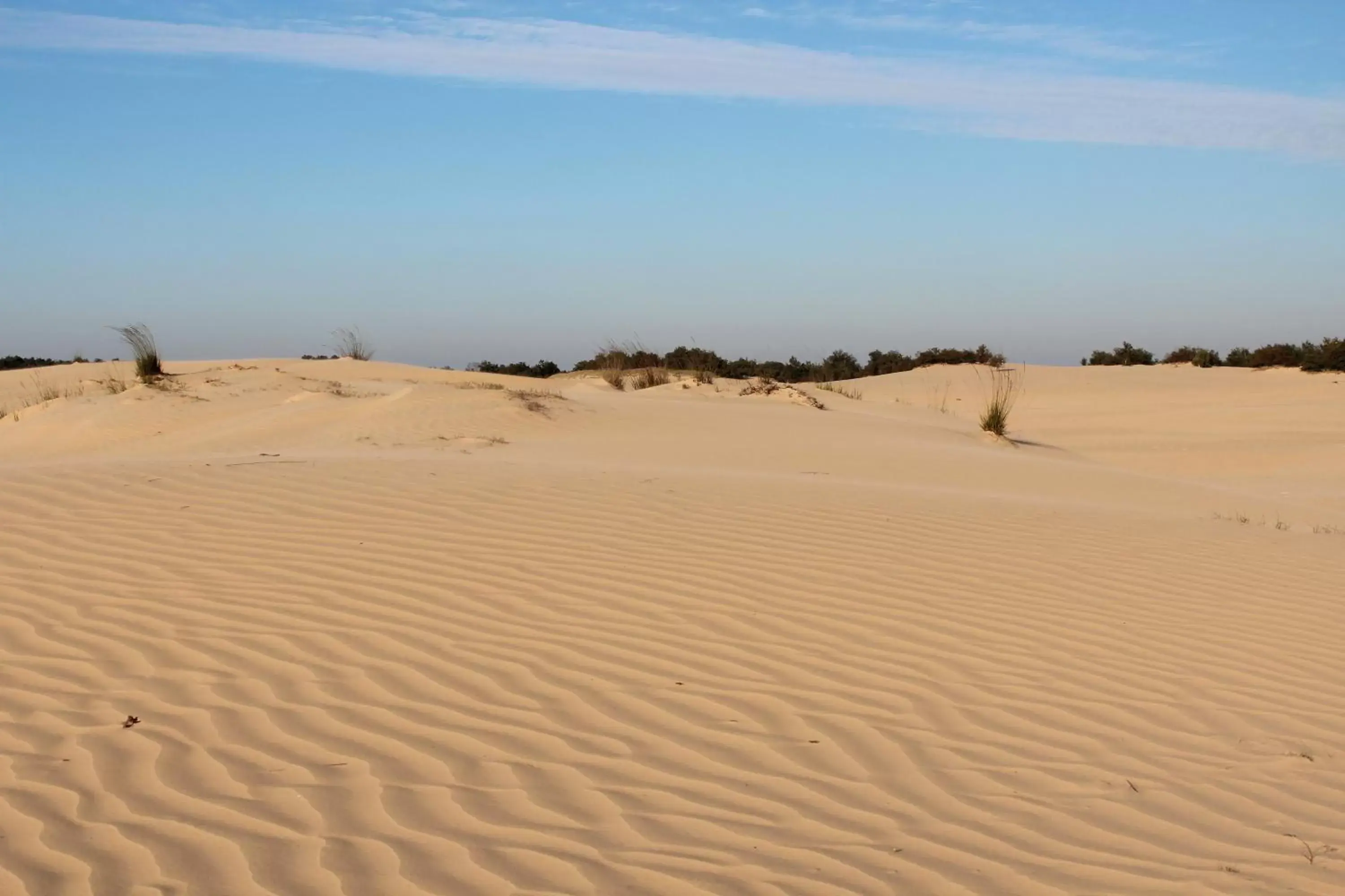 Natural landscape, Beach in Natuurpoort van Loon