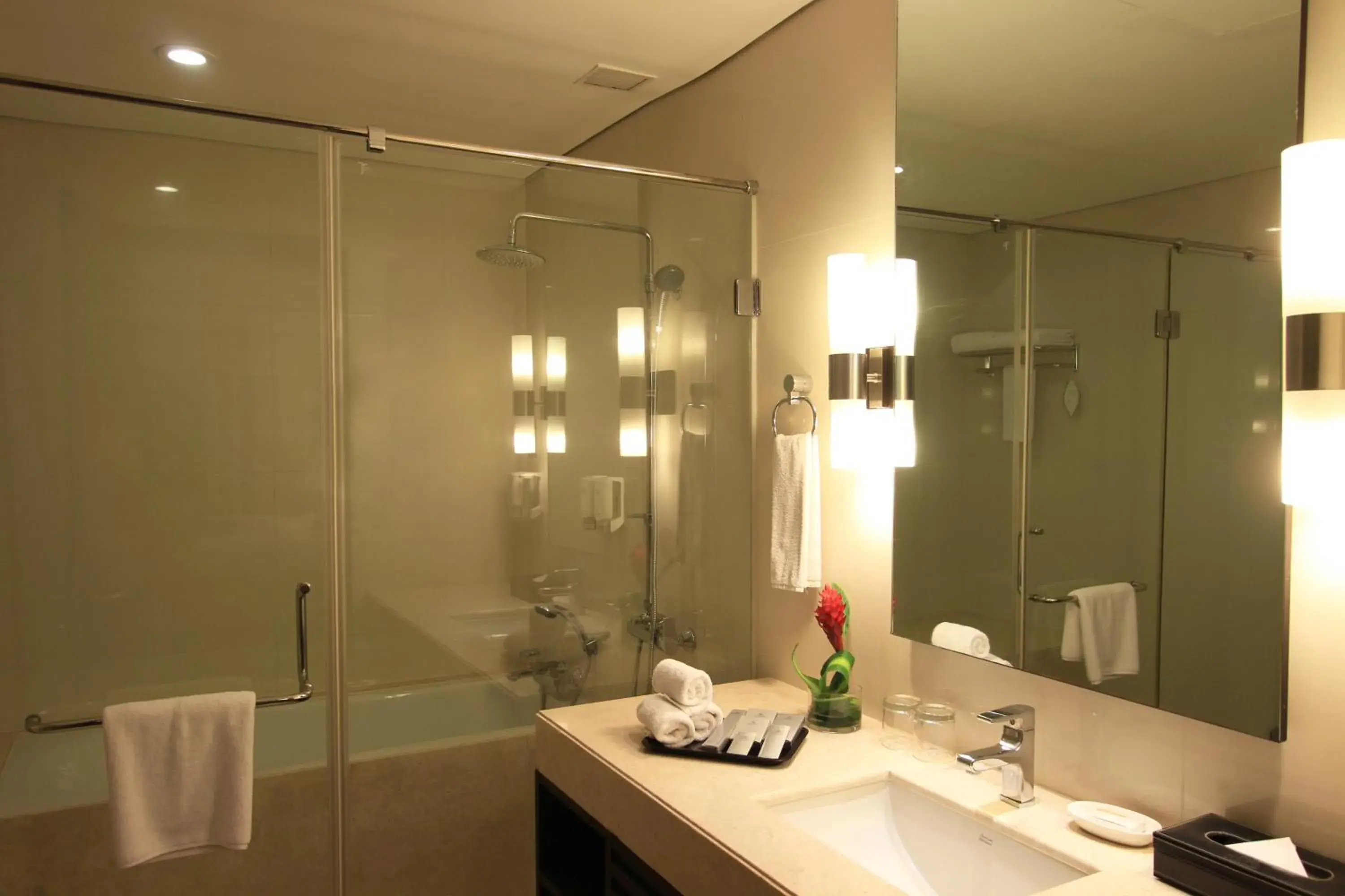 Bathroom in Somerset Greenways Chennai Bathroom in Somerset Greenways Chennai