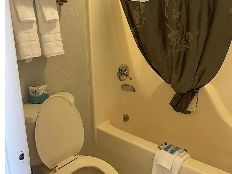 Shower, Bathroom in Branson Ozarks Inn