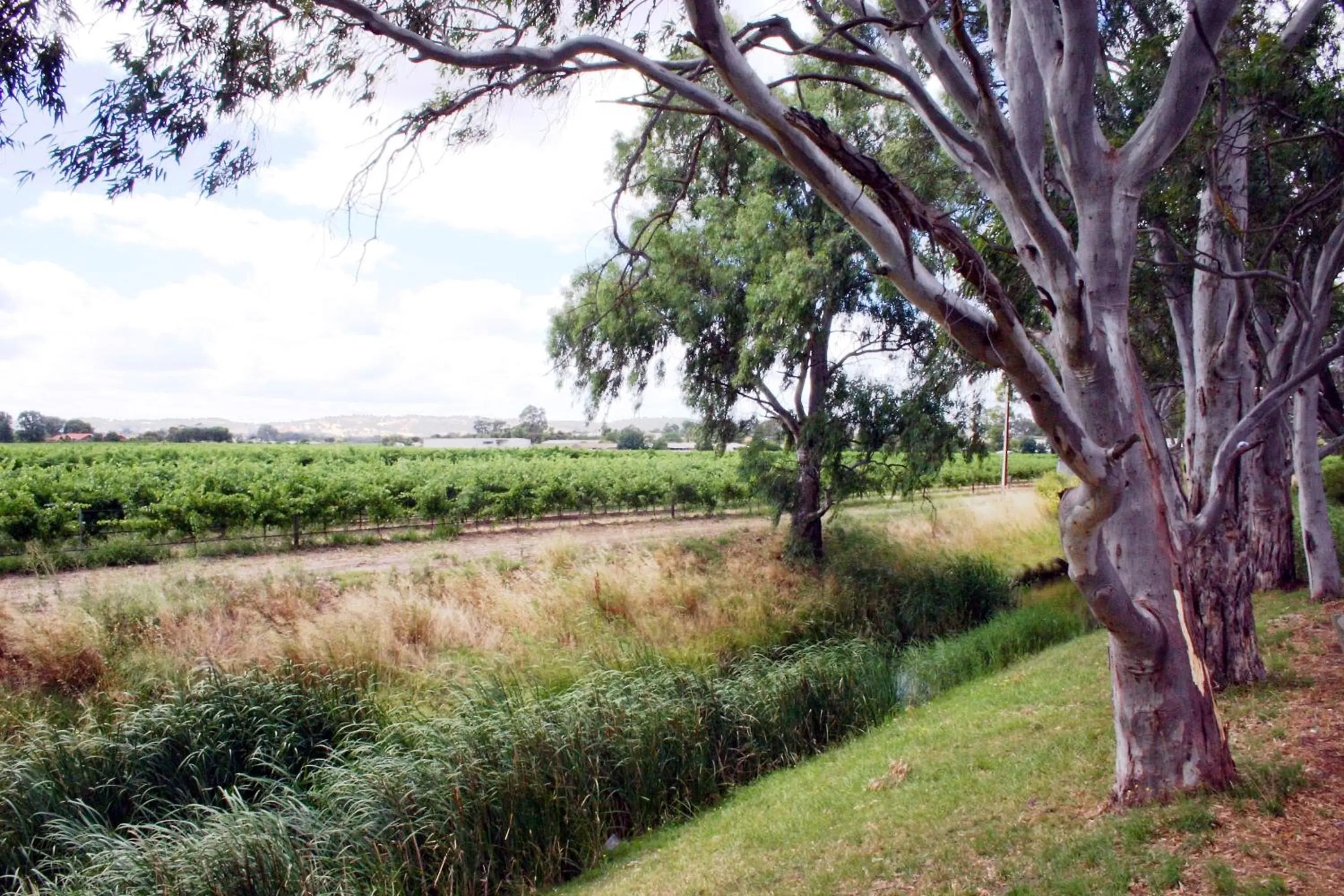 Nearby landmark, Garden in Vine Inn Barossa