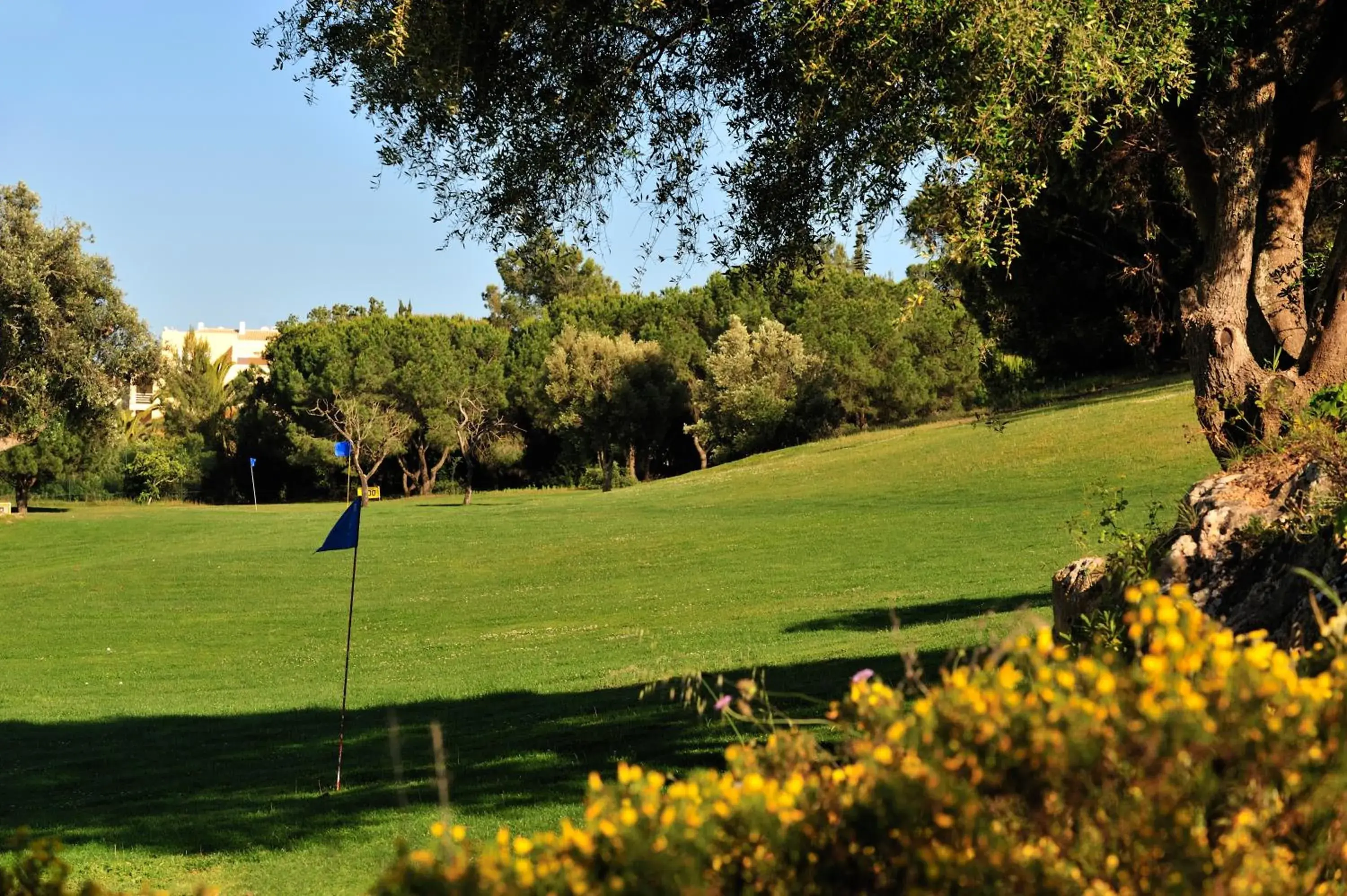 Garden, Golf in Pestana Delfim Beach & Golf Hotel