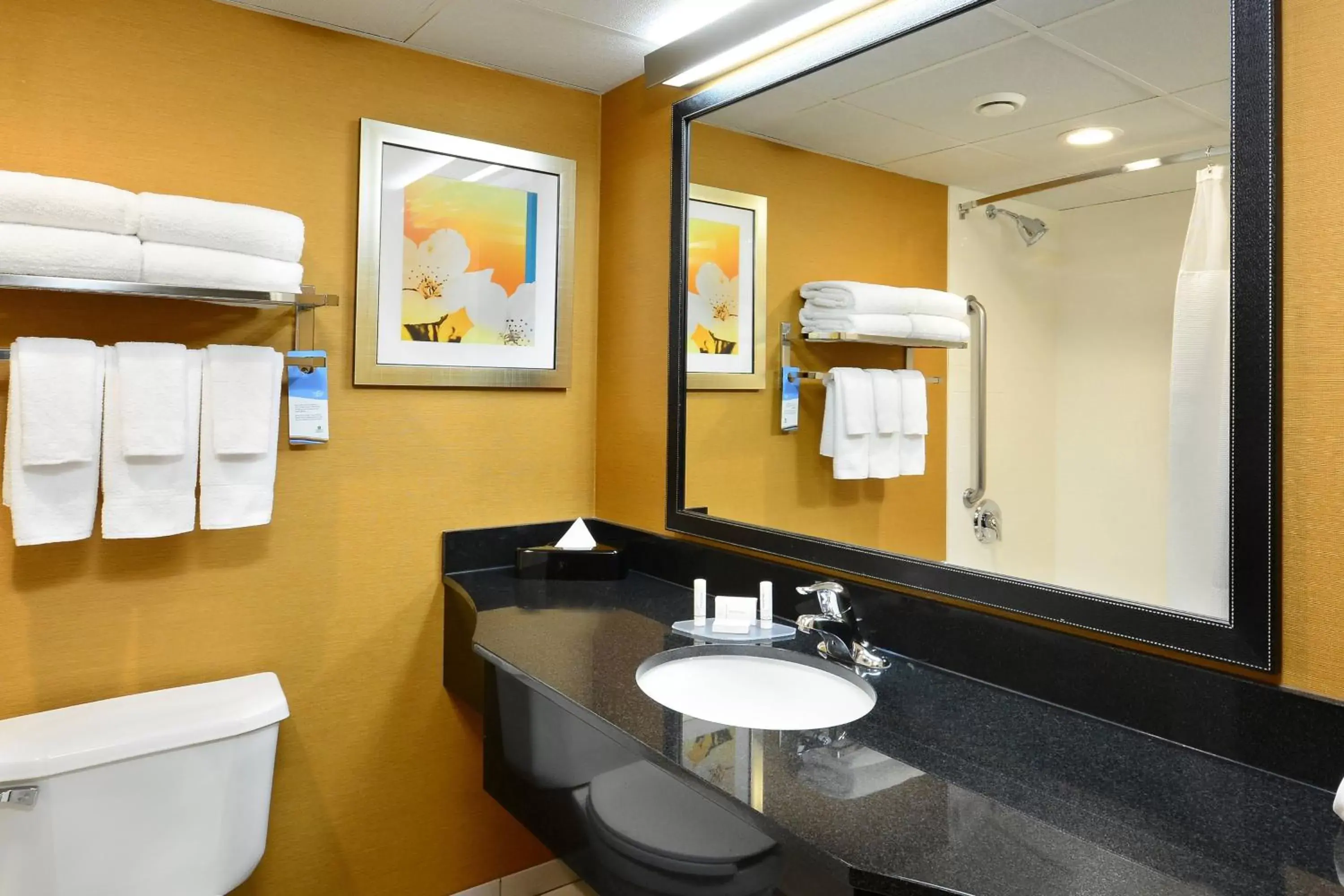 Bathroom in Fairfield Inn and Suites by Marriott Winston Salem/Hanes