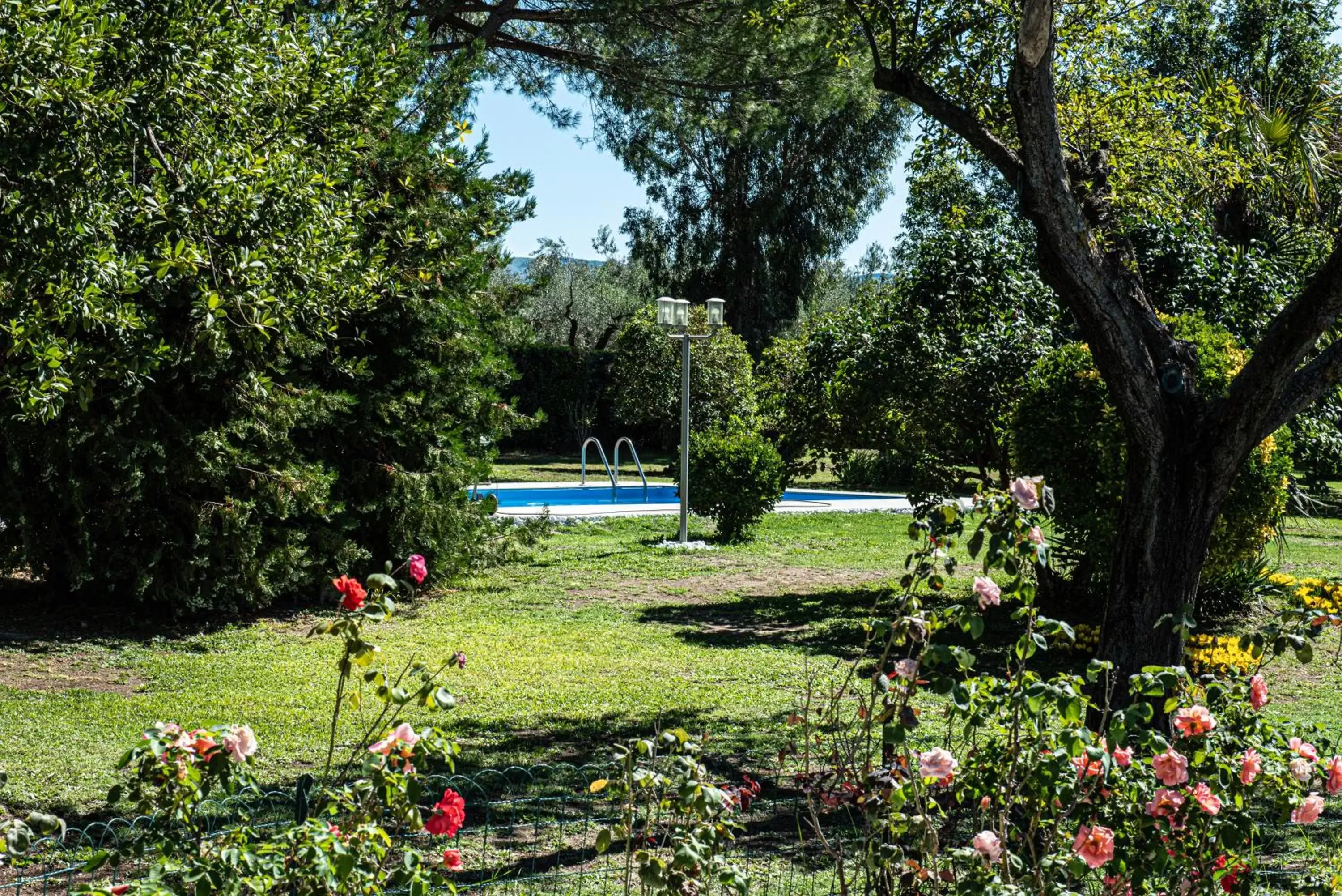 Garden, Swimming Pool in Terre Etrusche Guest House