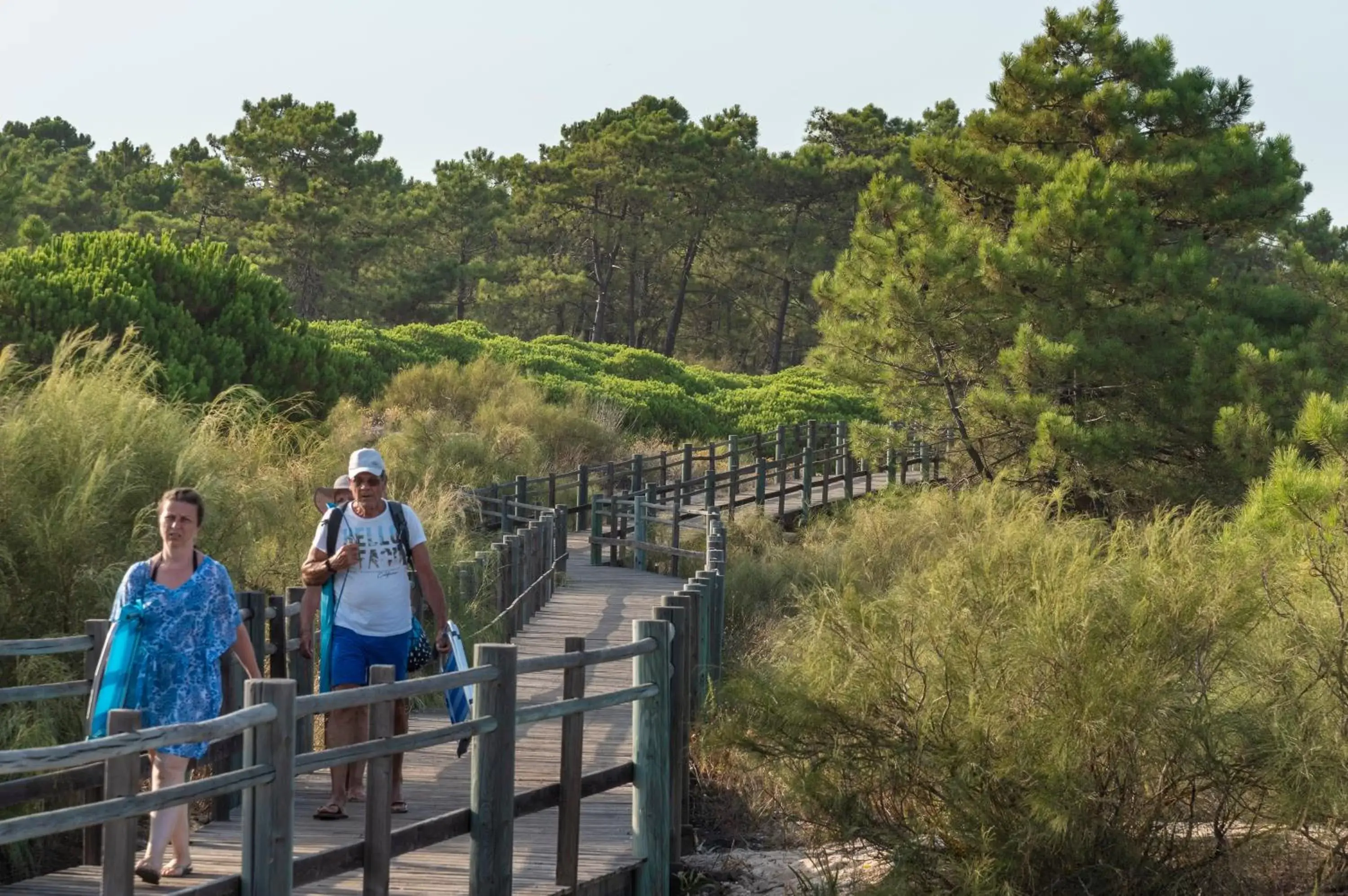 Natural landscape in Hotel Baía De Monte Gordo