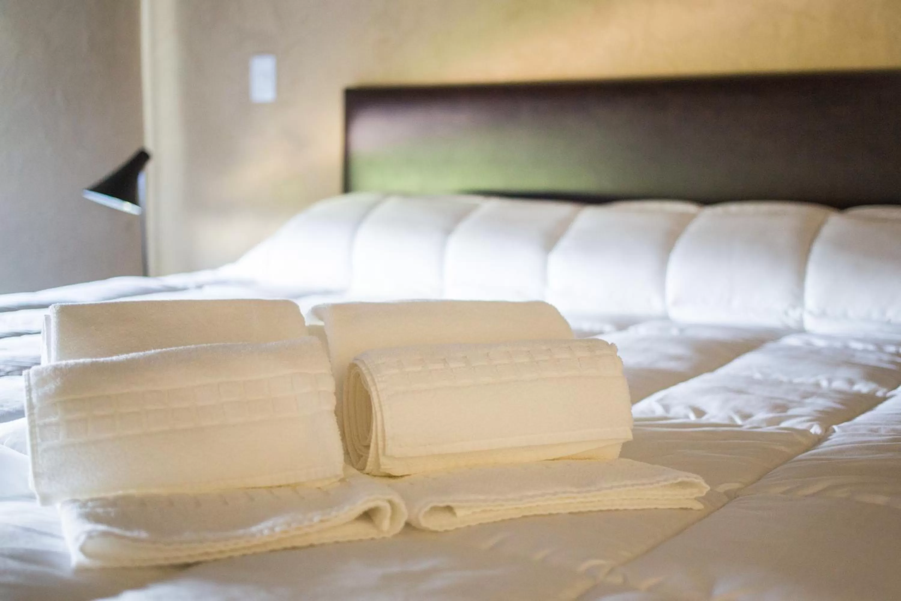 Bed in Lomas del Real Aparthotel