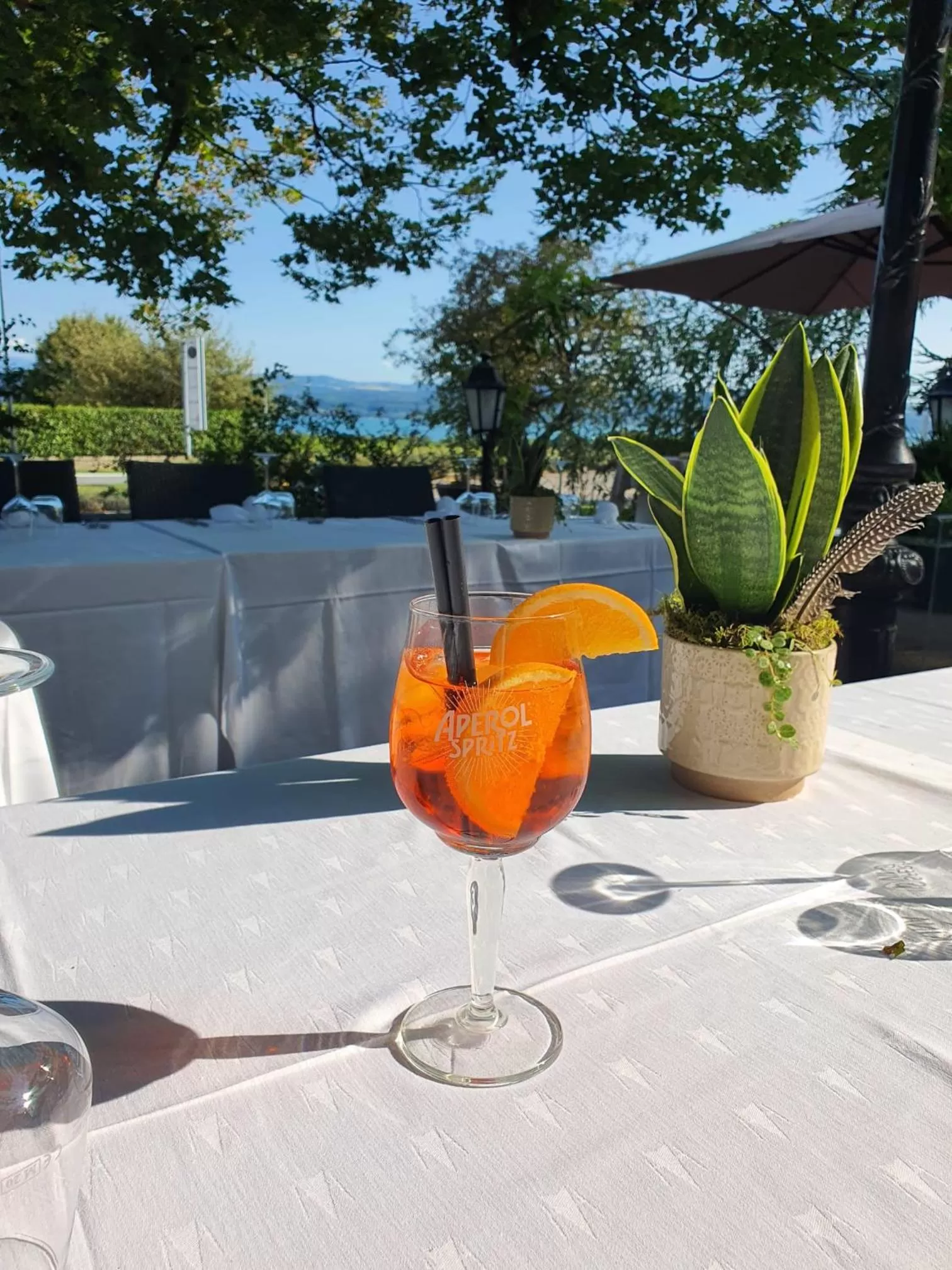 Garden view in Hôtel Restaurant Bellevue
