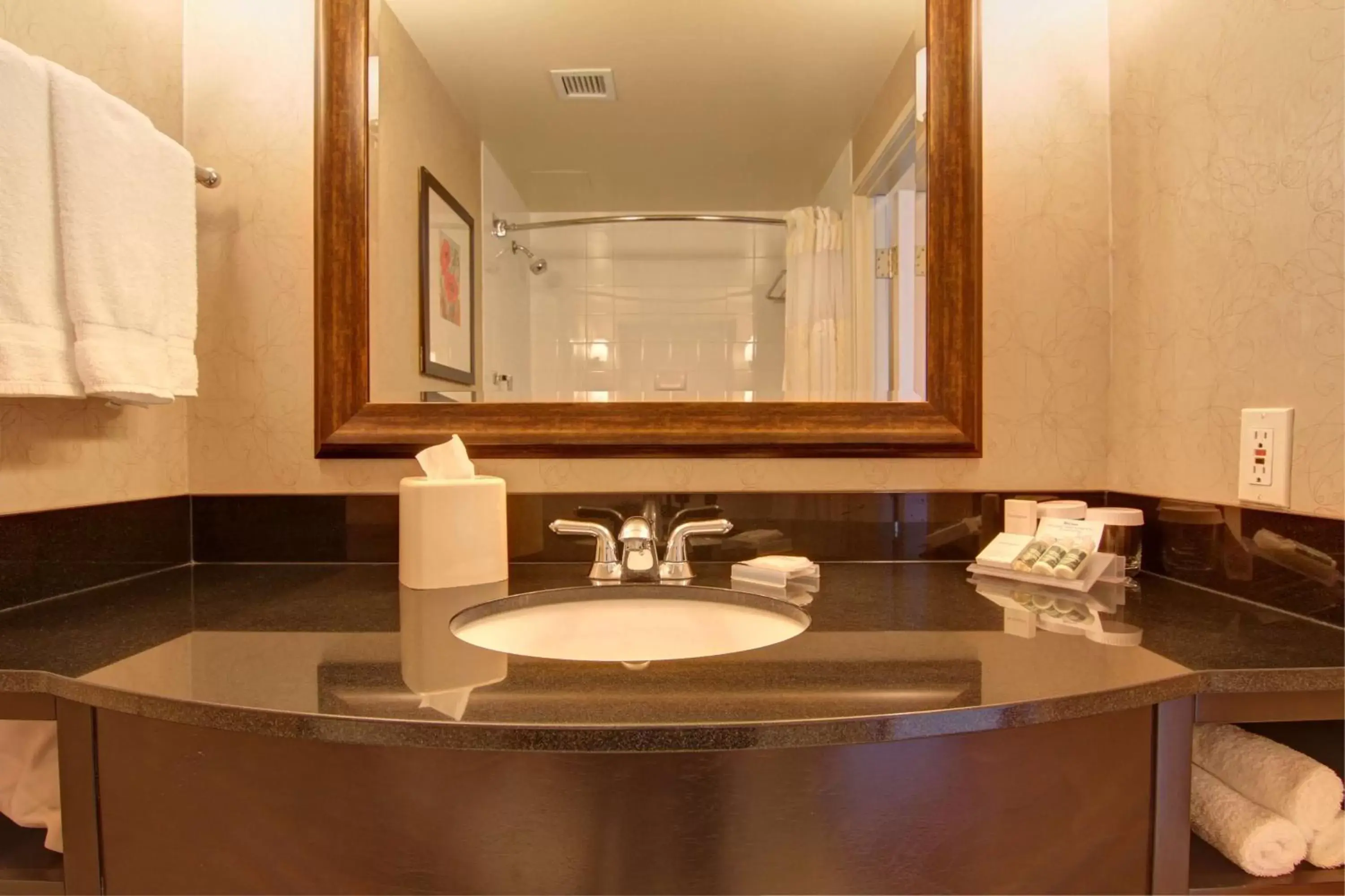 Bathroom in Hilton Garden Inn Calgary Airport