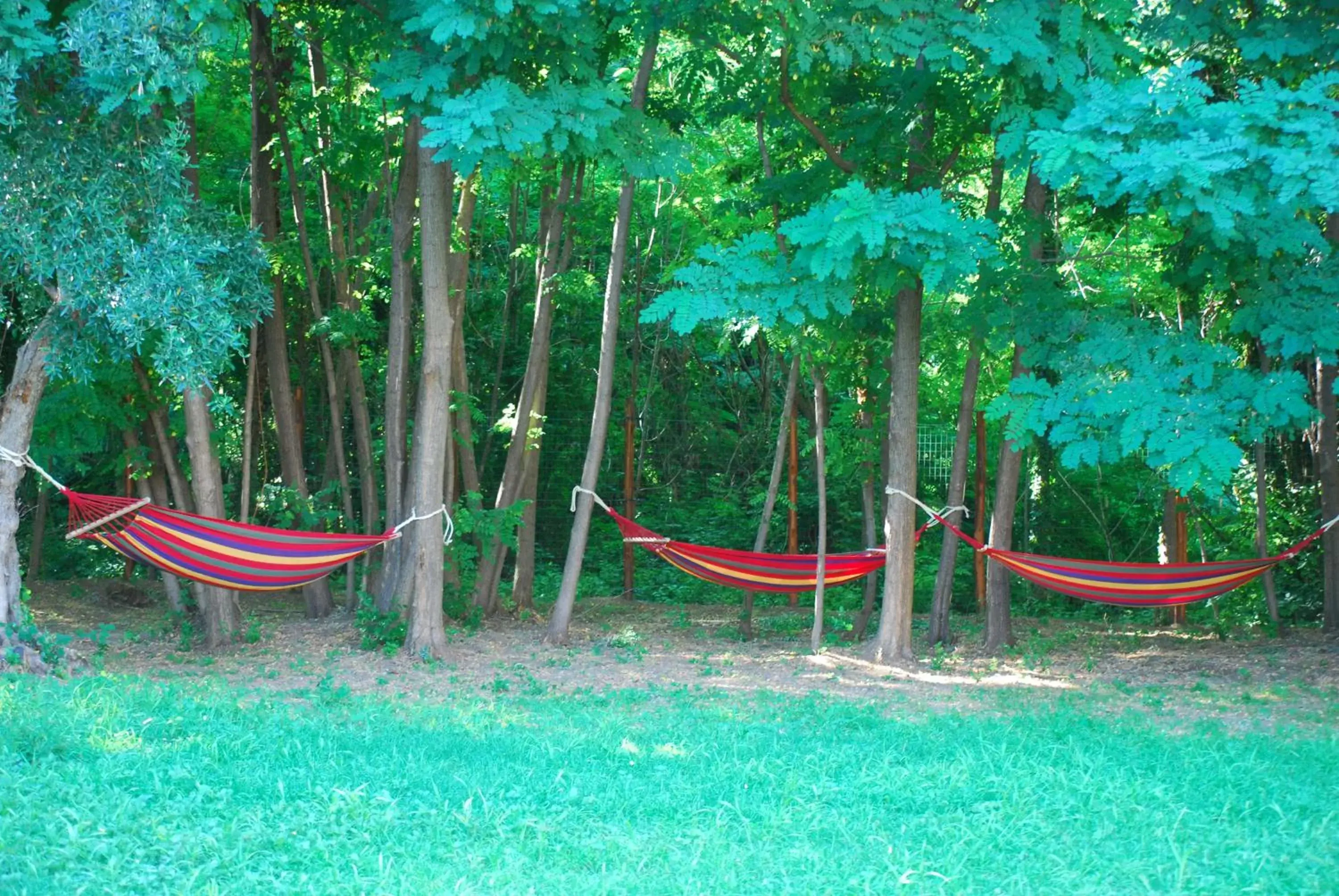 Garden view in Palazzo Conforti Tree House Resort