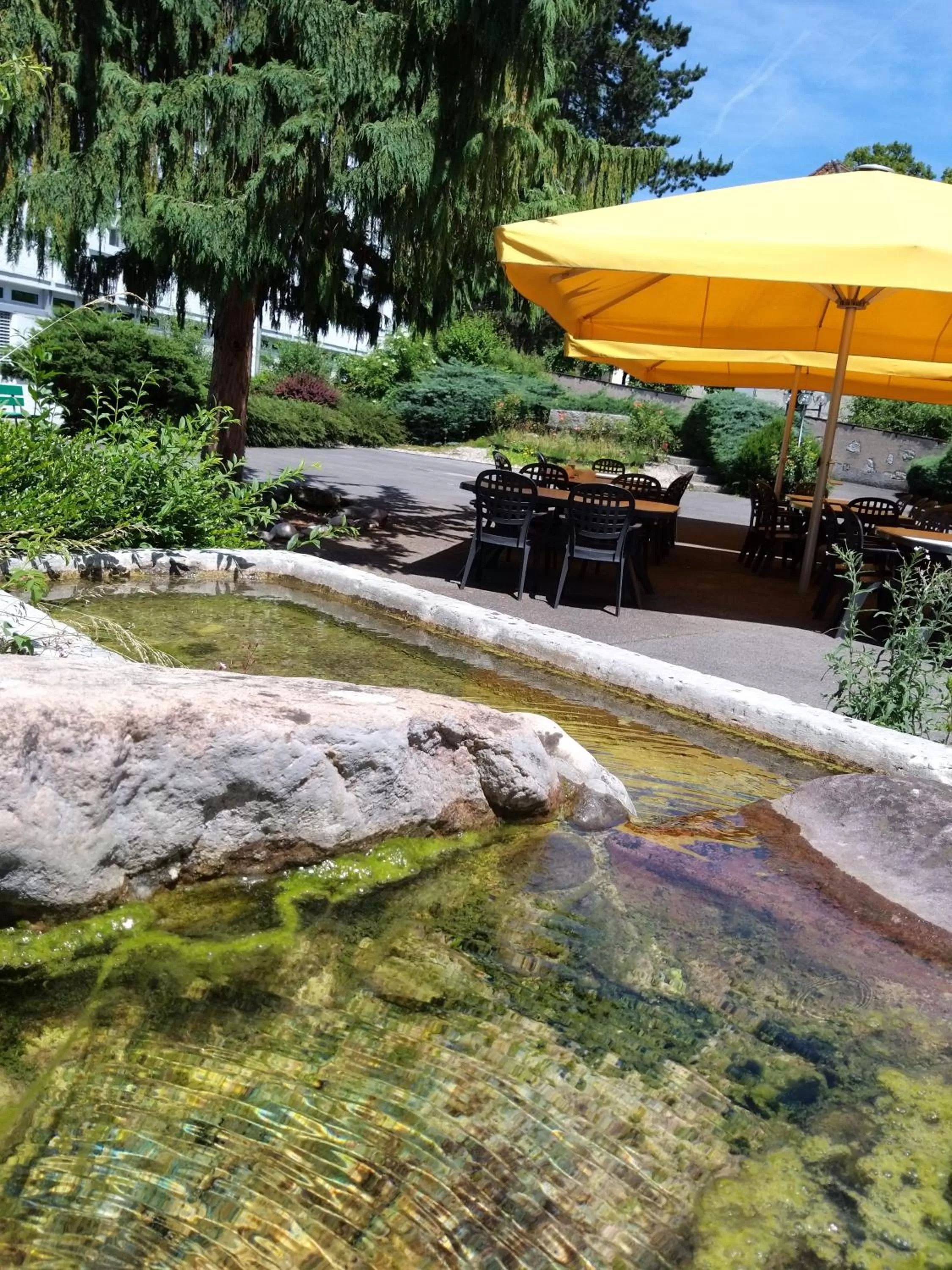 Patio in Hôtel Centre Saint-François