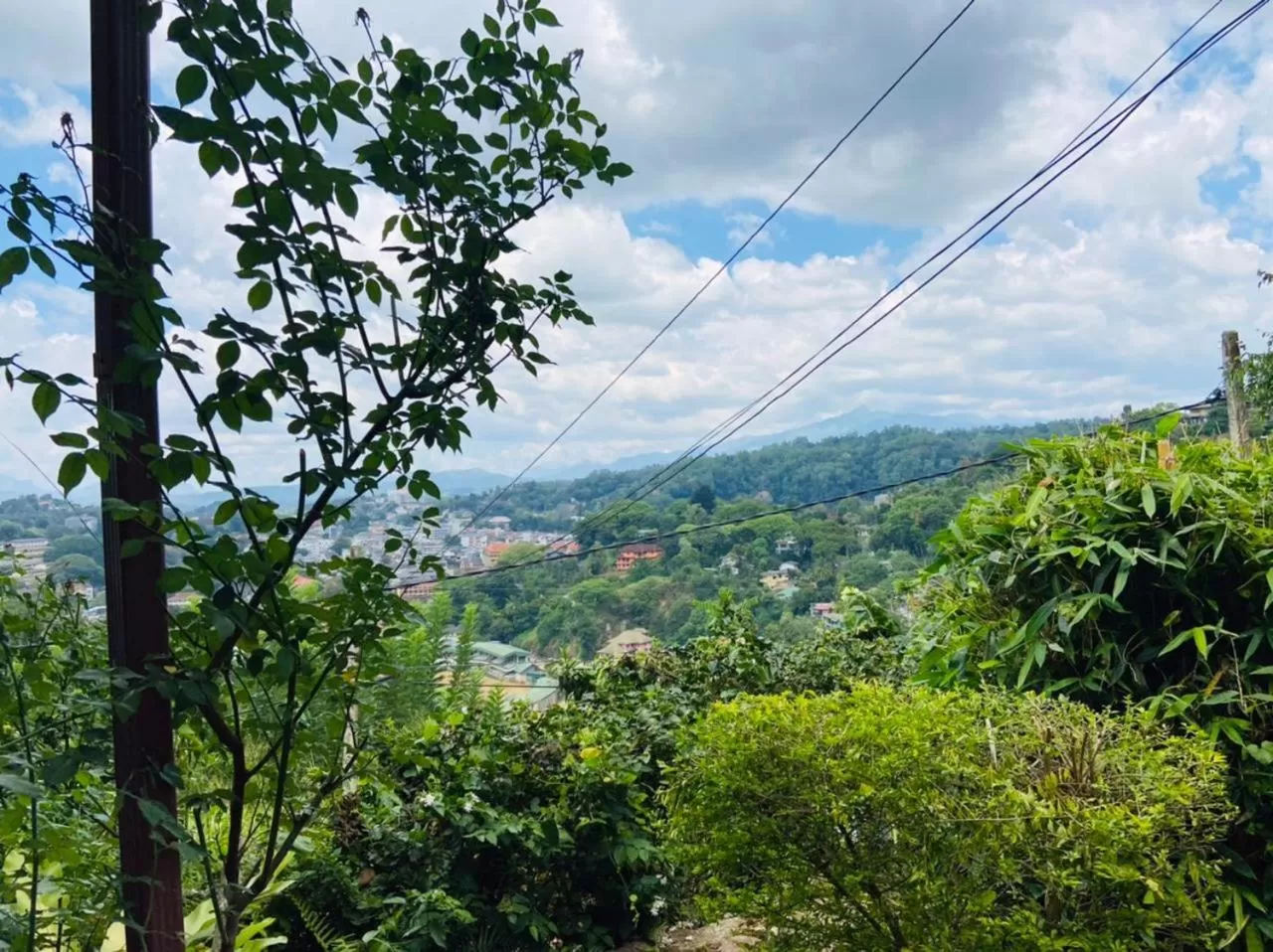 Natural Landscape in Mount Palace