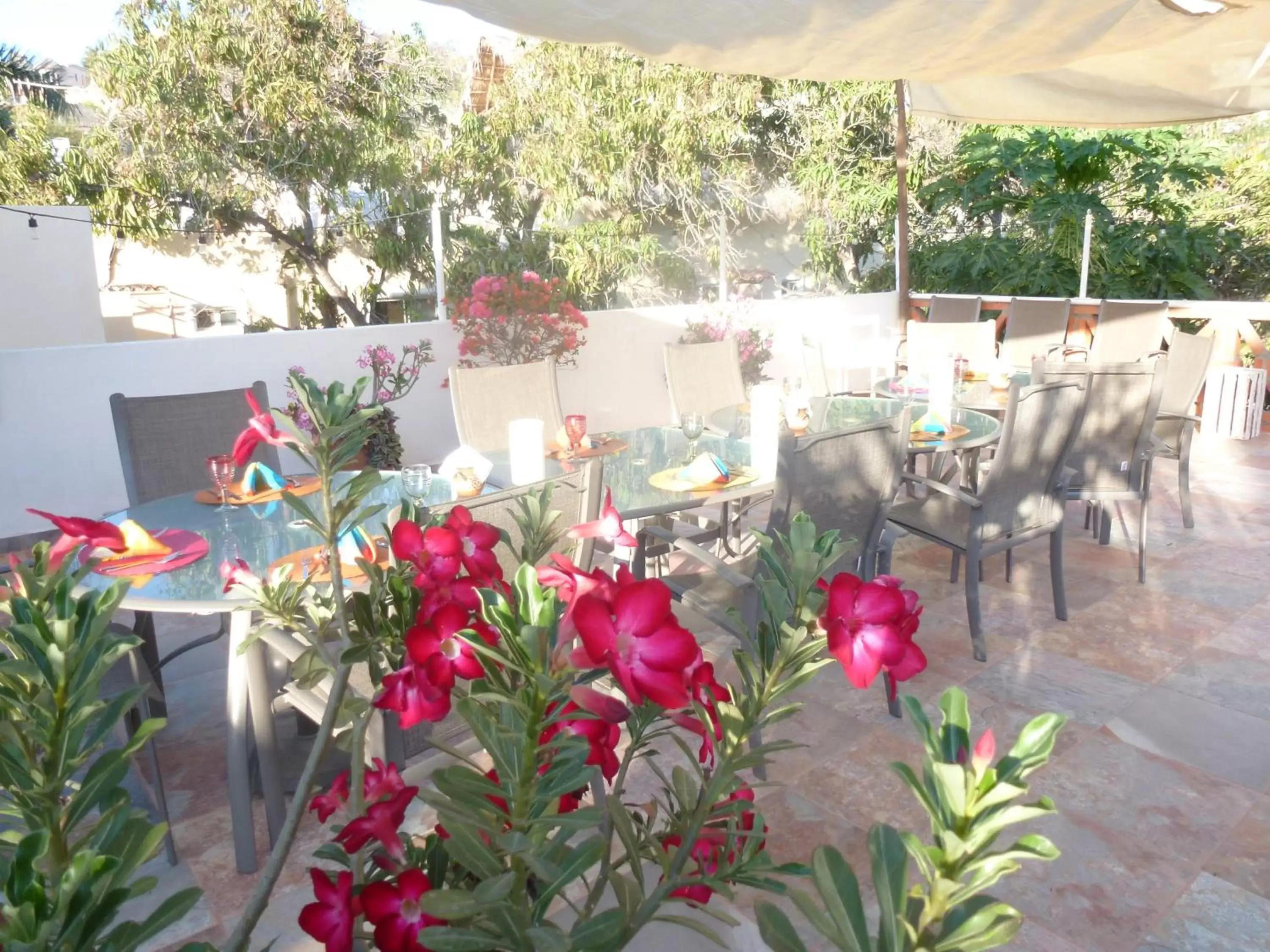 Balcony/Terrace in Hotelito Los Sueños