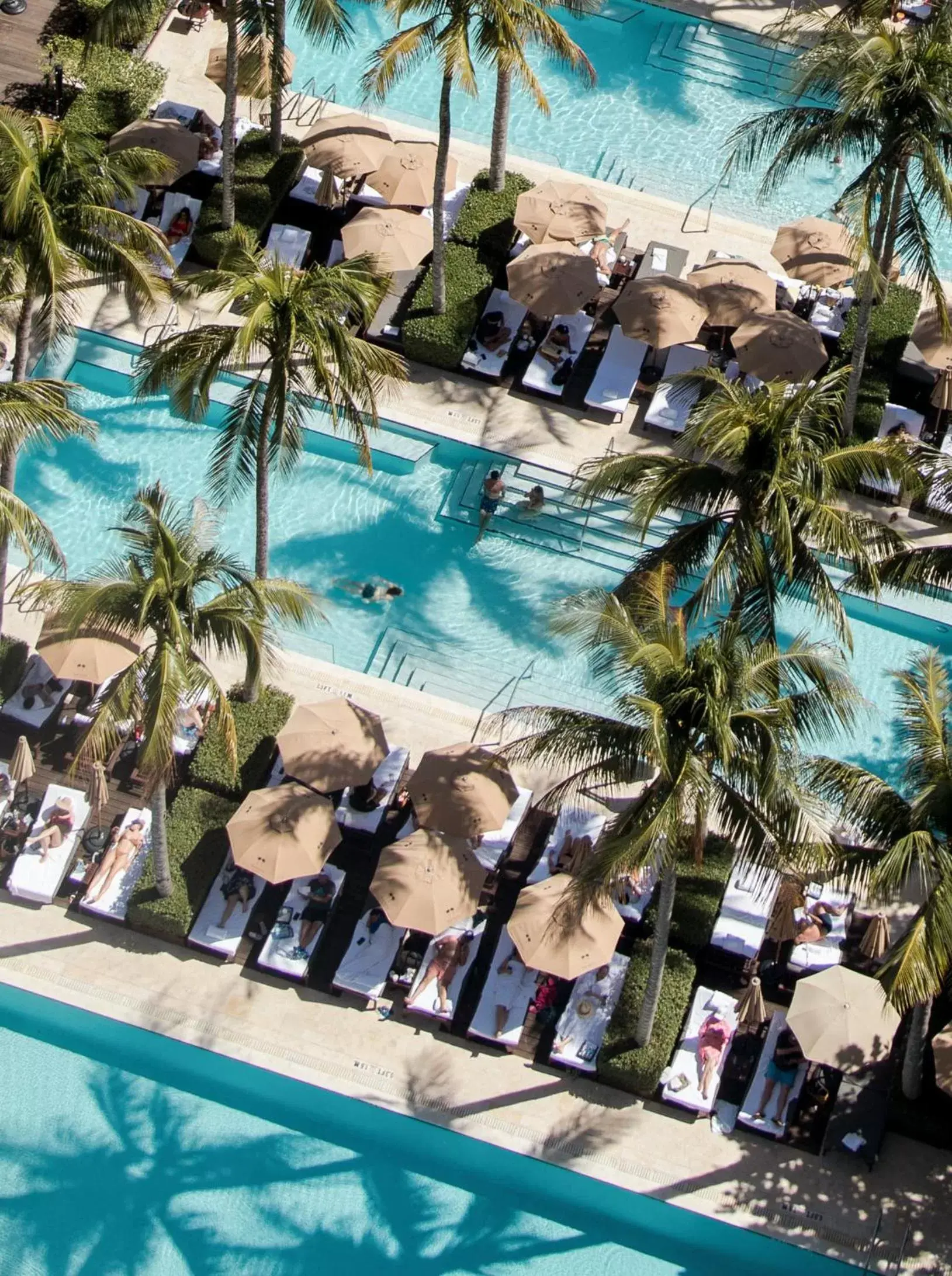 Day, Pool View in The Setai, Miami Beach