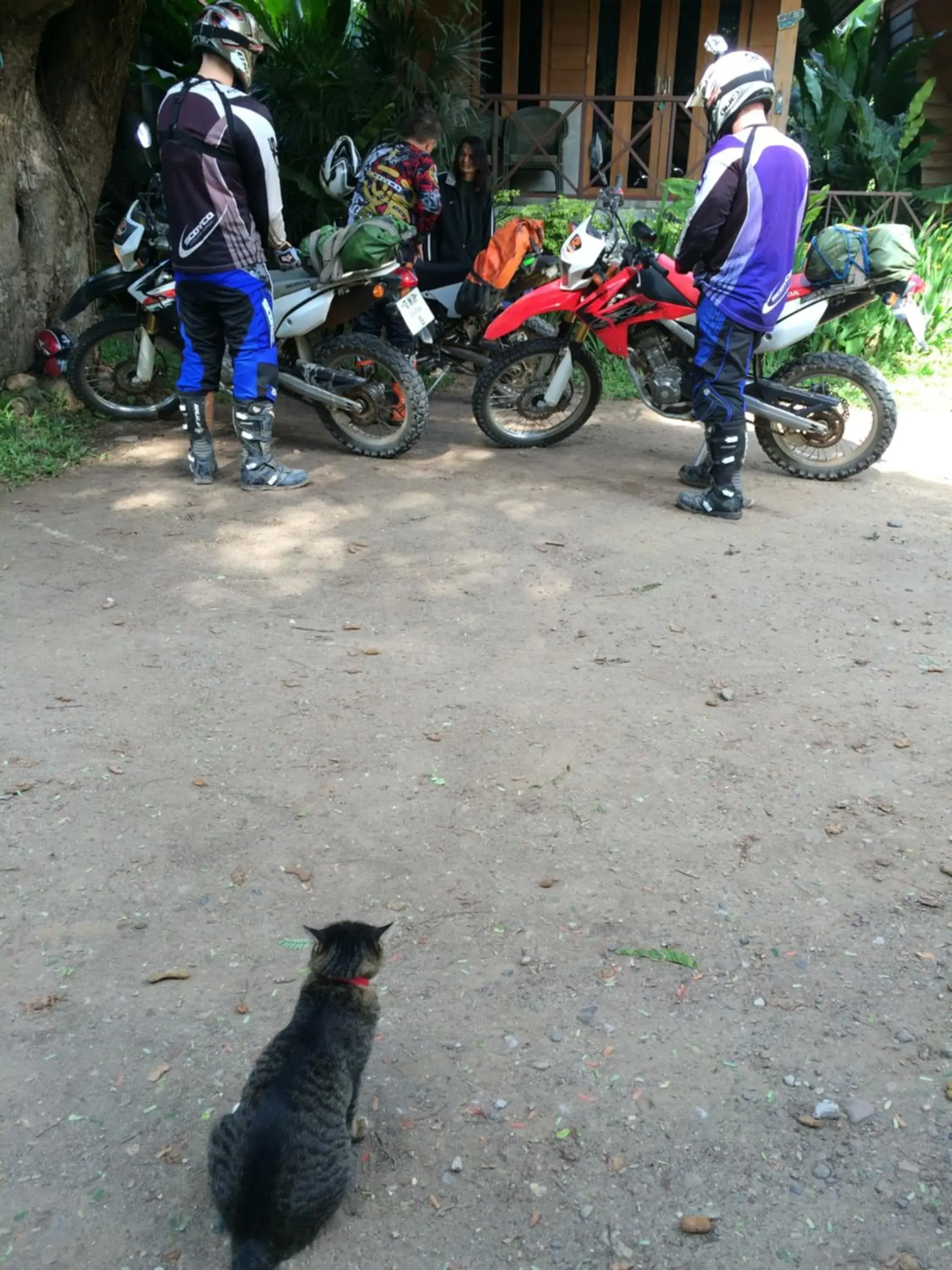 Biking in Sawasdeepai River Resort