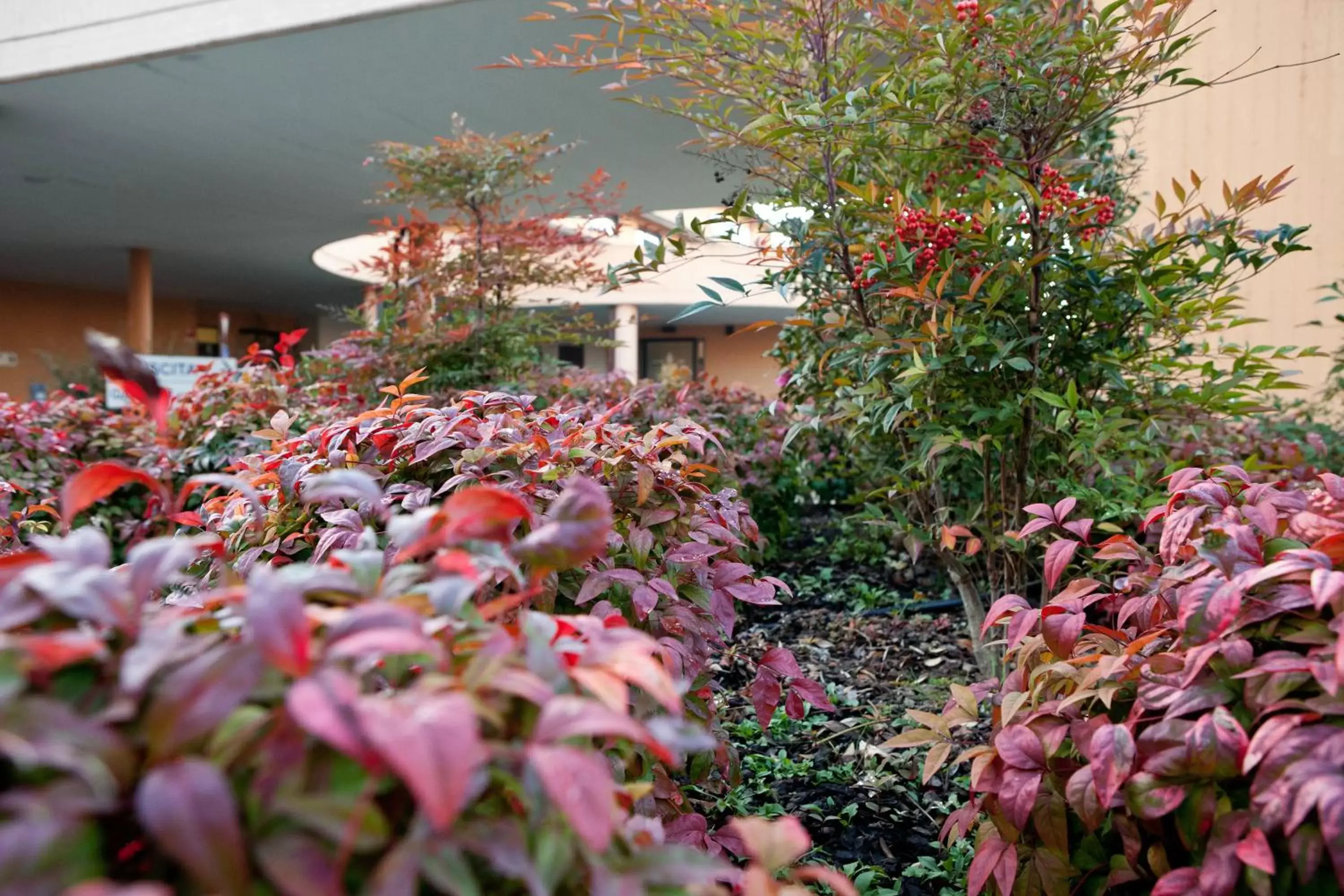 Garden, Property Building in Albergo Dei Laghi