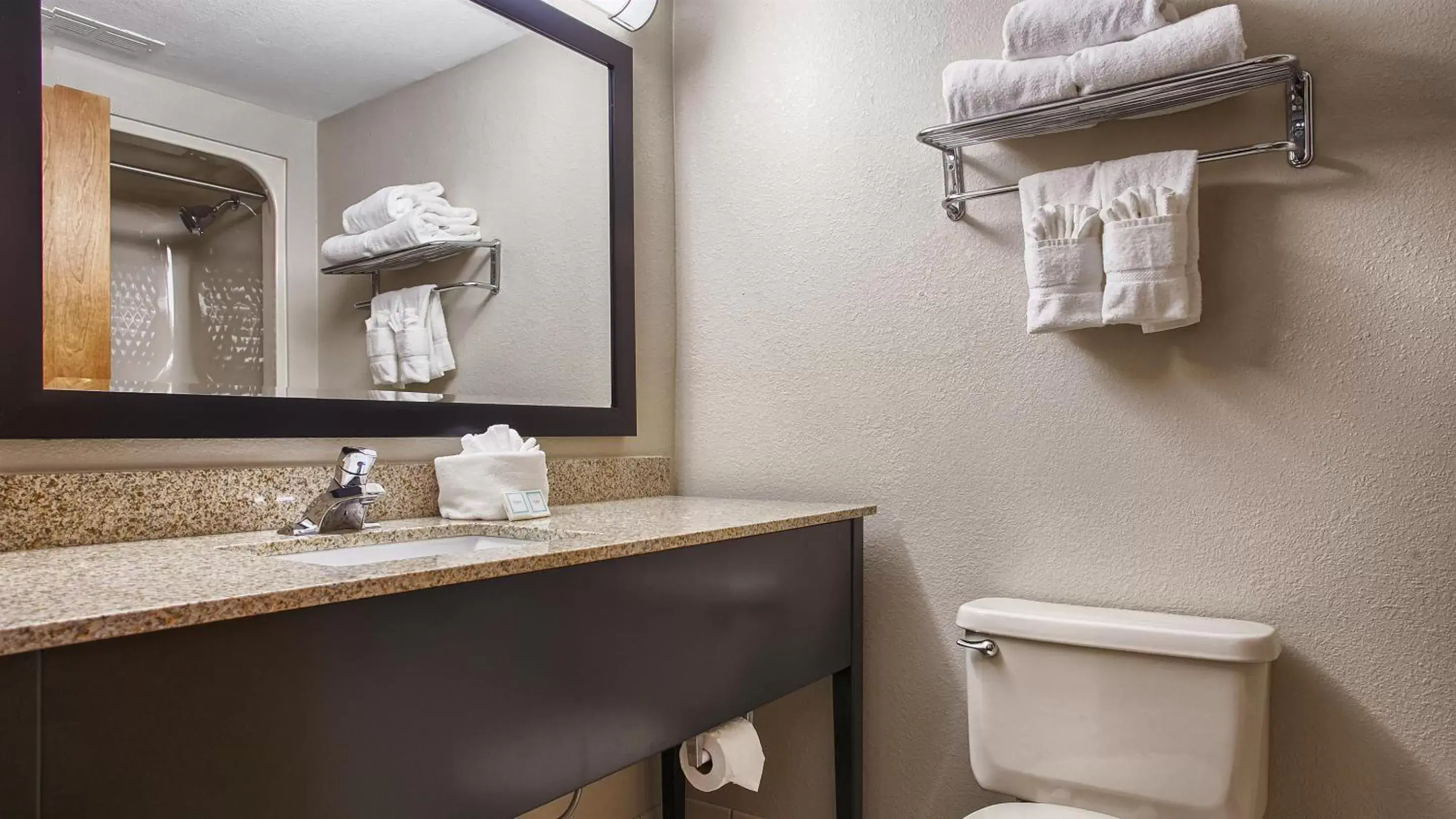 Bathroom in Best Western Executive Inn & Suites