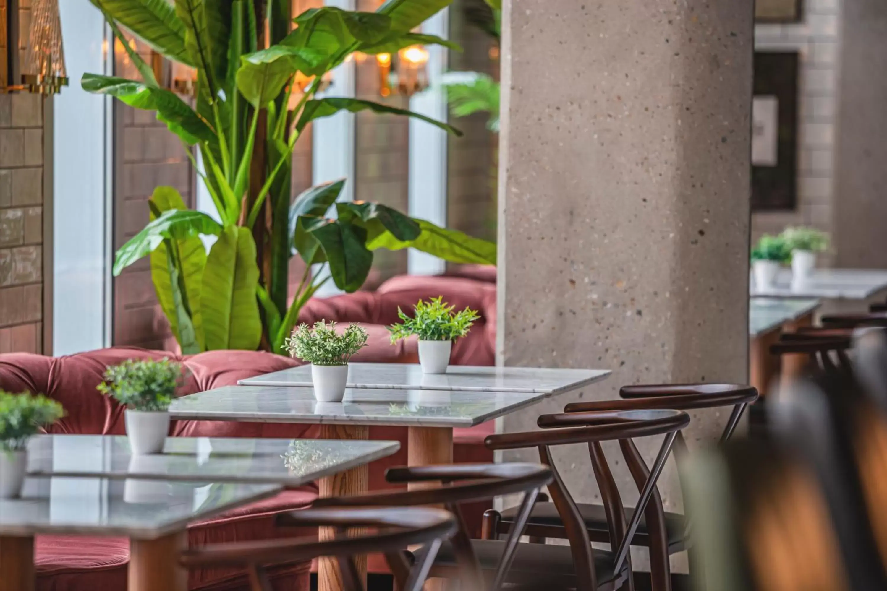Restaurant/places to eat in The ReMIX Hotel Restaurant/places to eat in The ReMIX Hotel