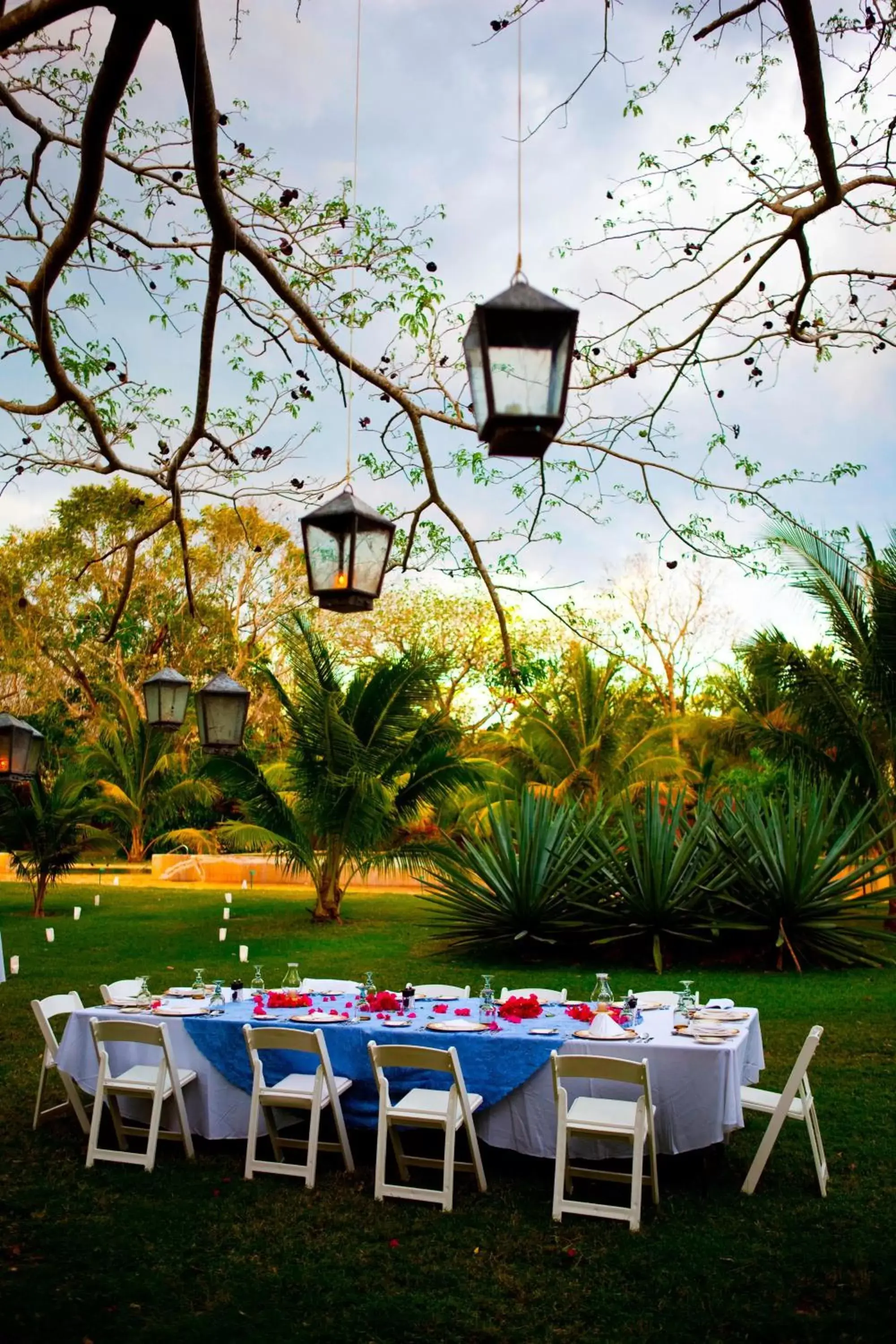 Restaurant/places to eat, Garden in Hacienda Temozon