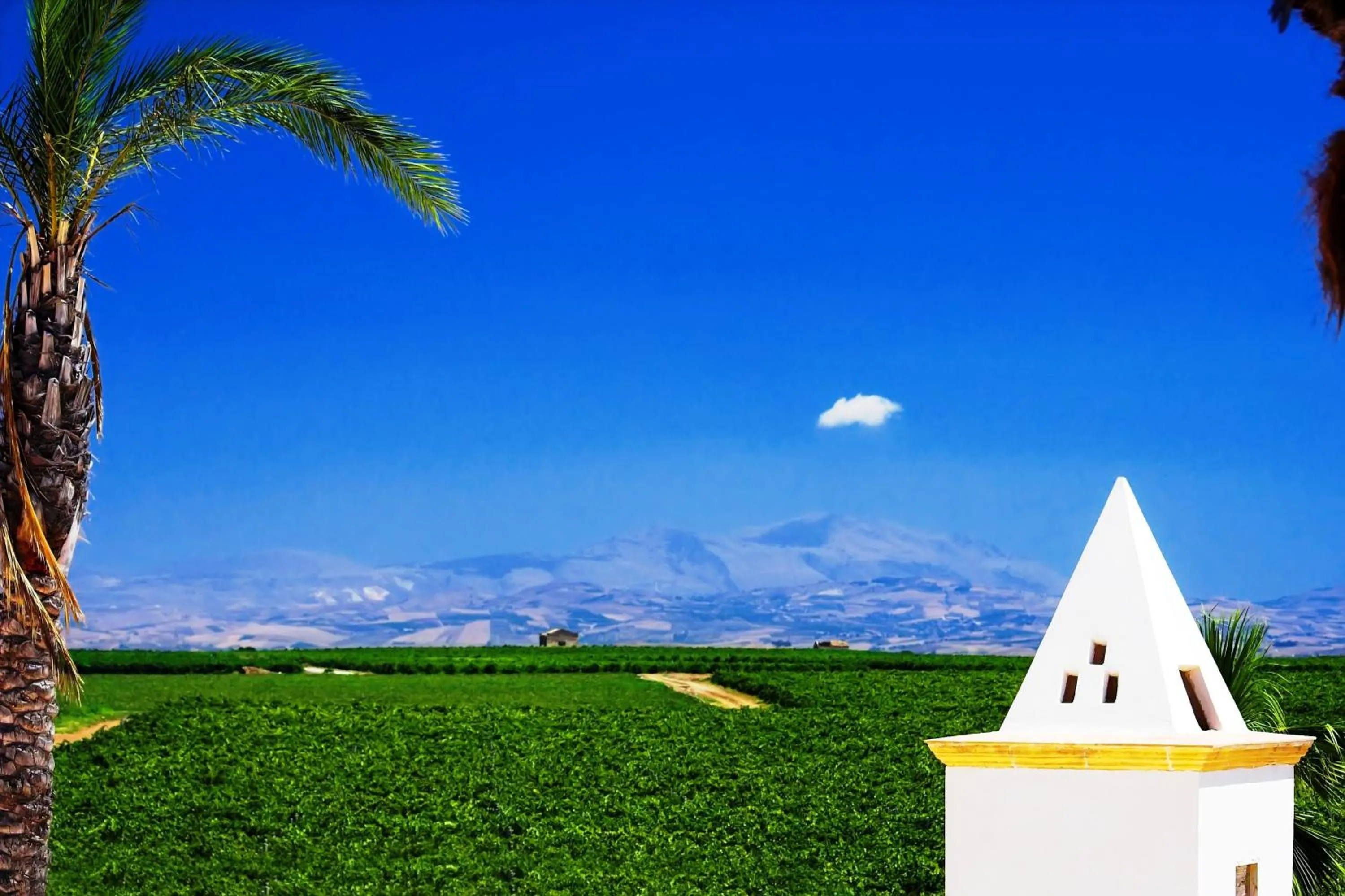 Day in Agriturismo Baglio Donnafranca Wine Resort