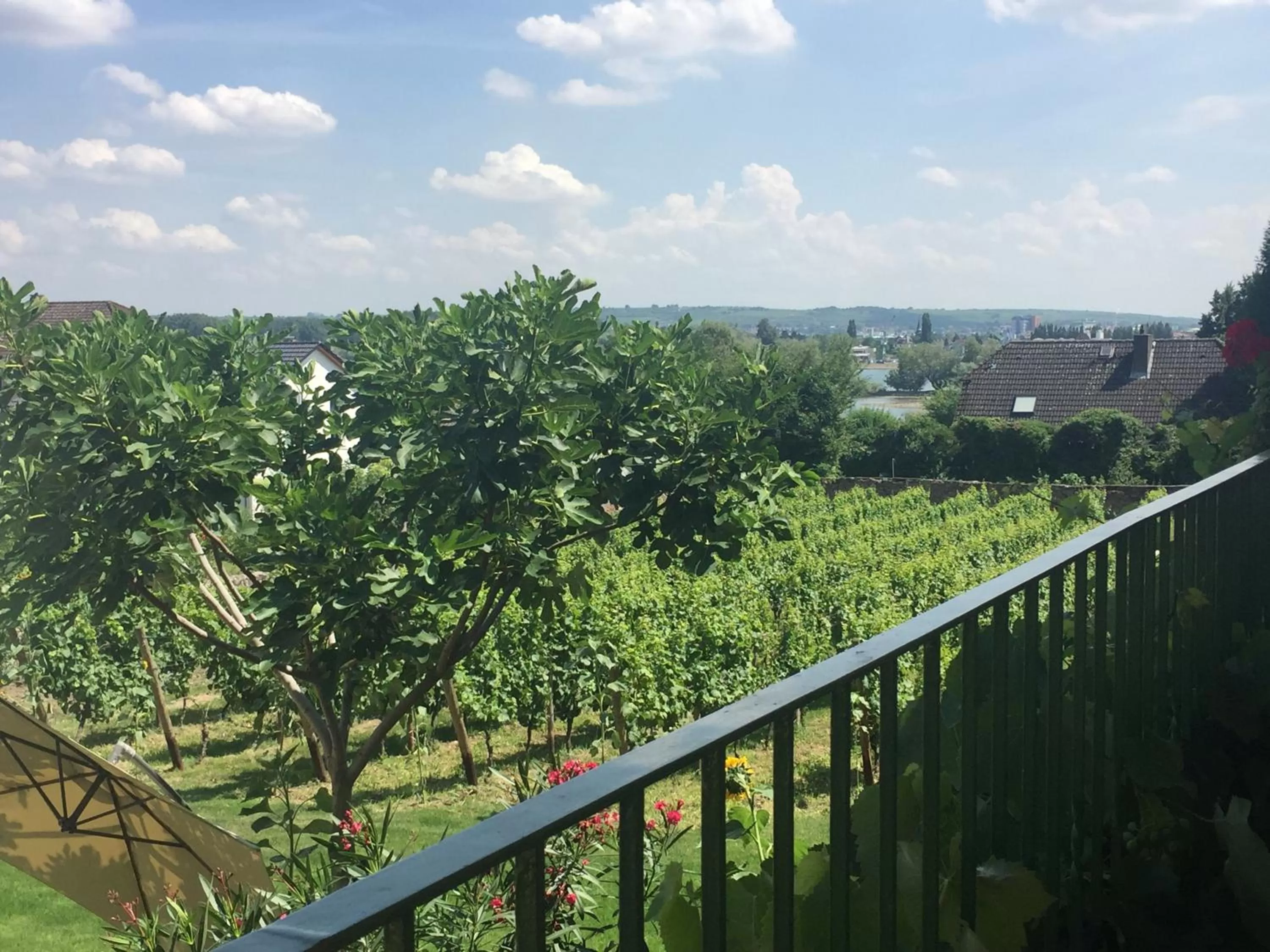 Bed and Breakfast - Rheingauer Hof