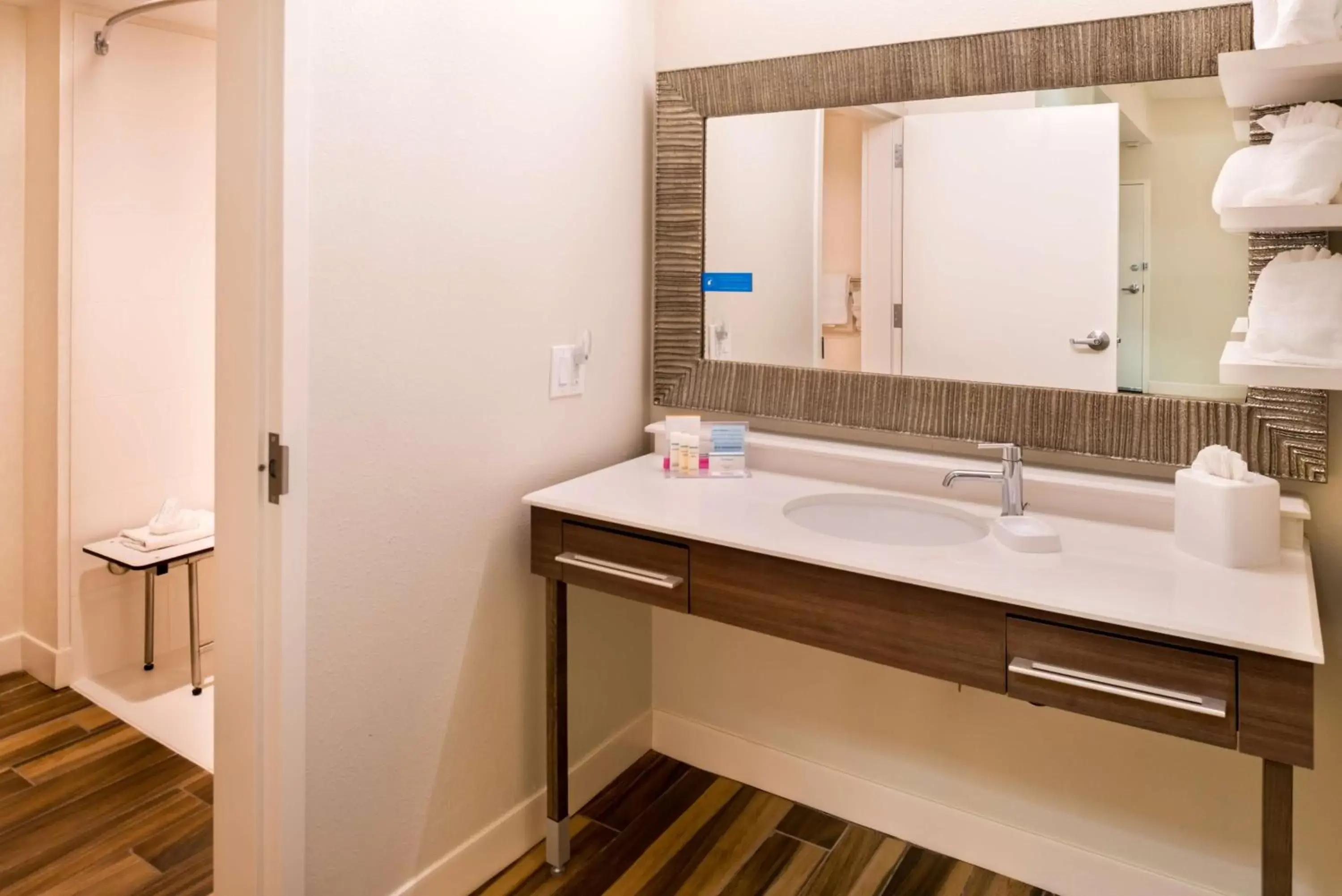Bathroom in Hampton Inn & Suites Orlando-East UCF