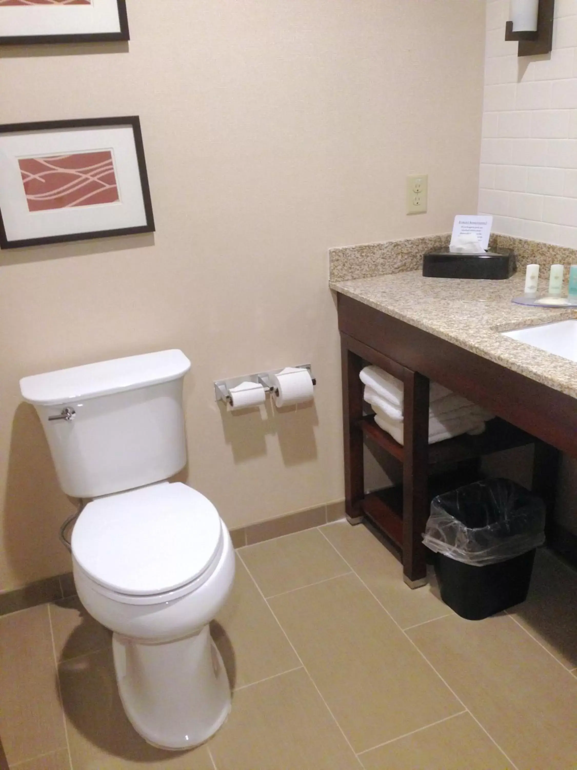 Bathroom in Comfort Inn & Suites Brattleboro I-91