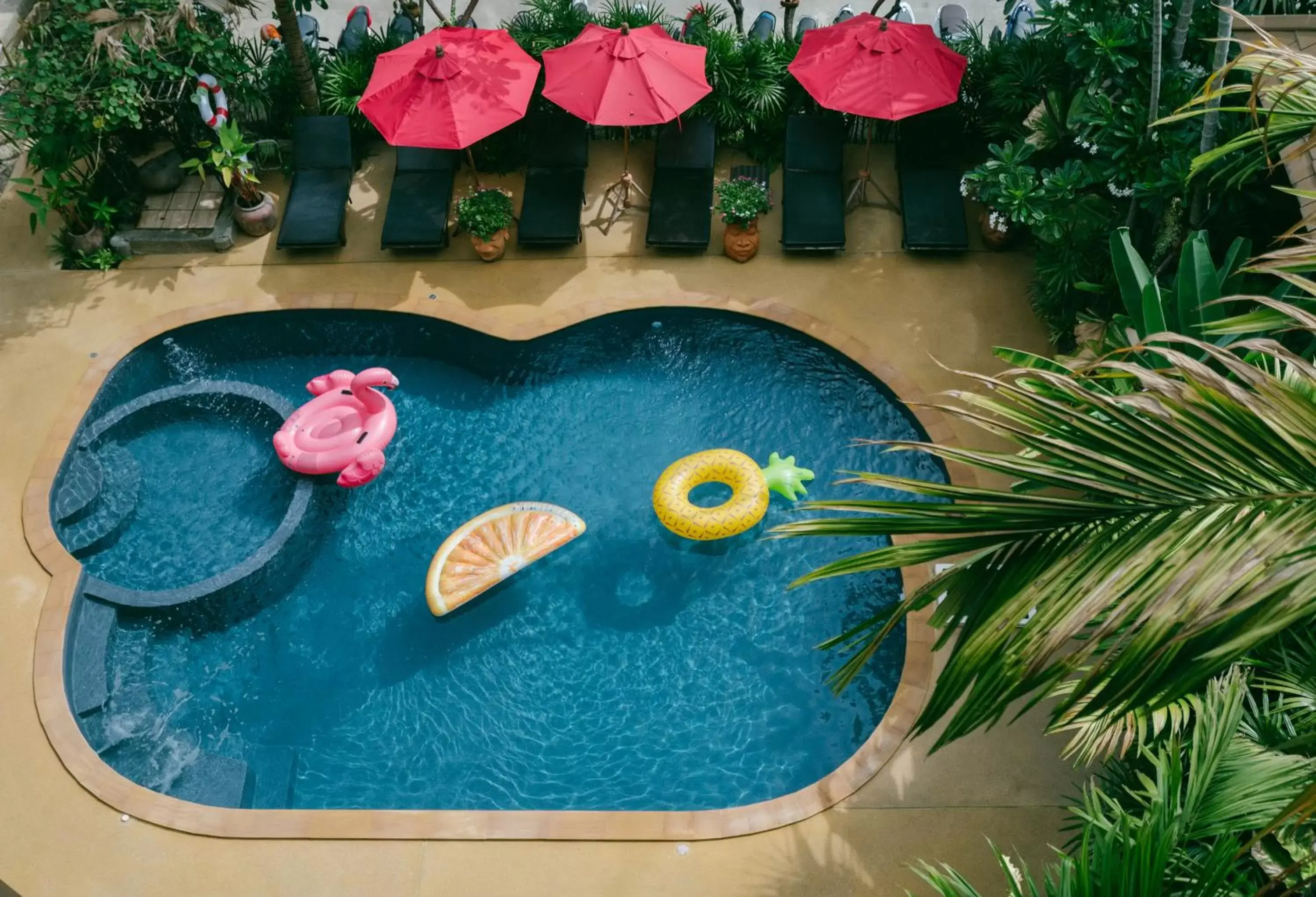 Garden, Swimming Pool in The Opium Chiang Mai